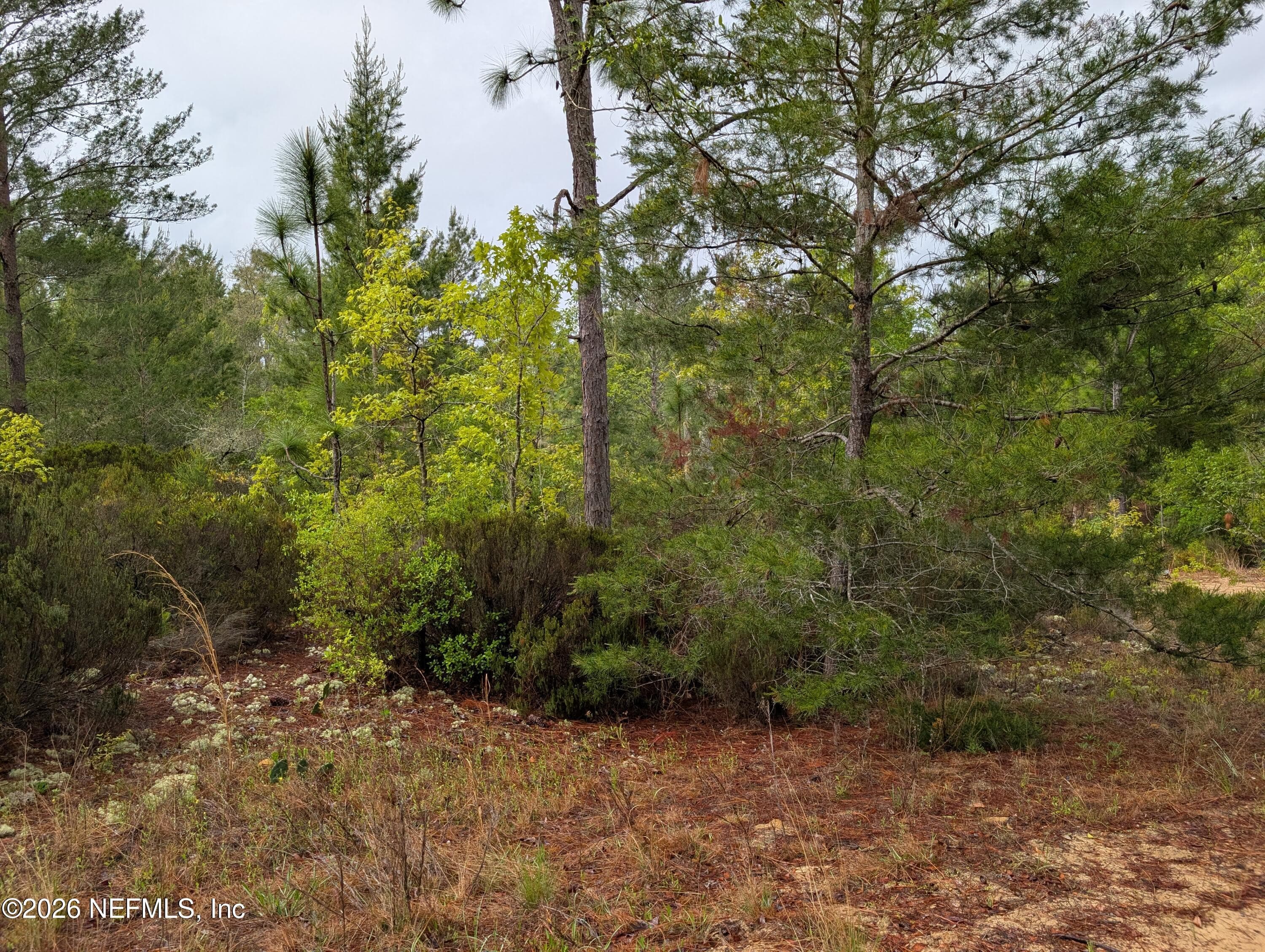 LOT 34 SE 10TH Street, Interlachen, FL 32148, Interlachen — photo 2