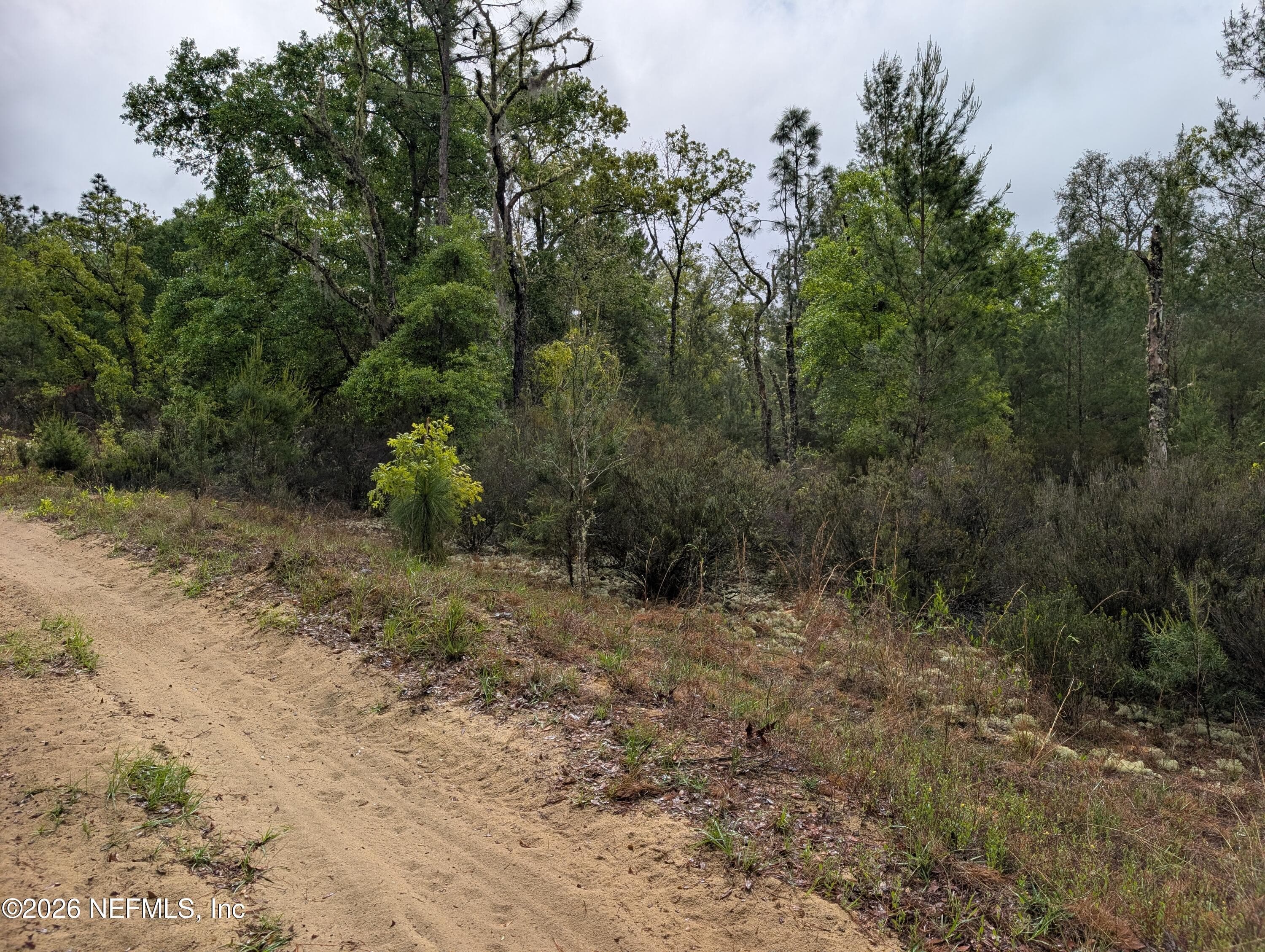 LOT 34 SE 10TH Street, Interlachen, FL 32148, Interlachen — photo 3