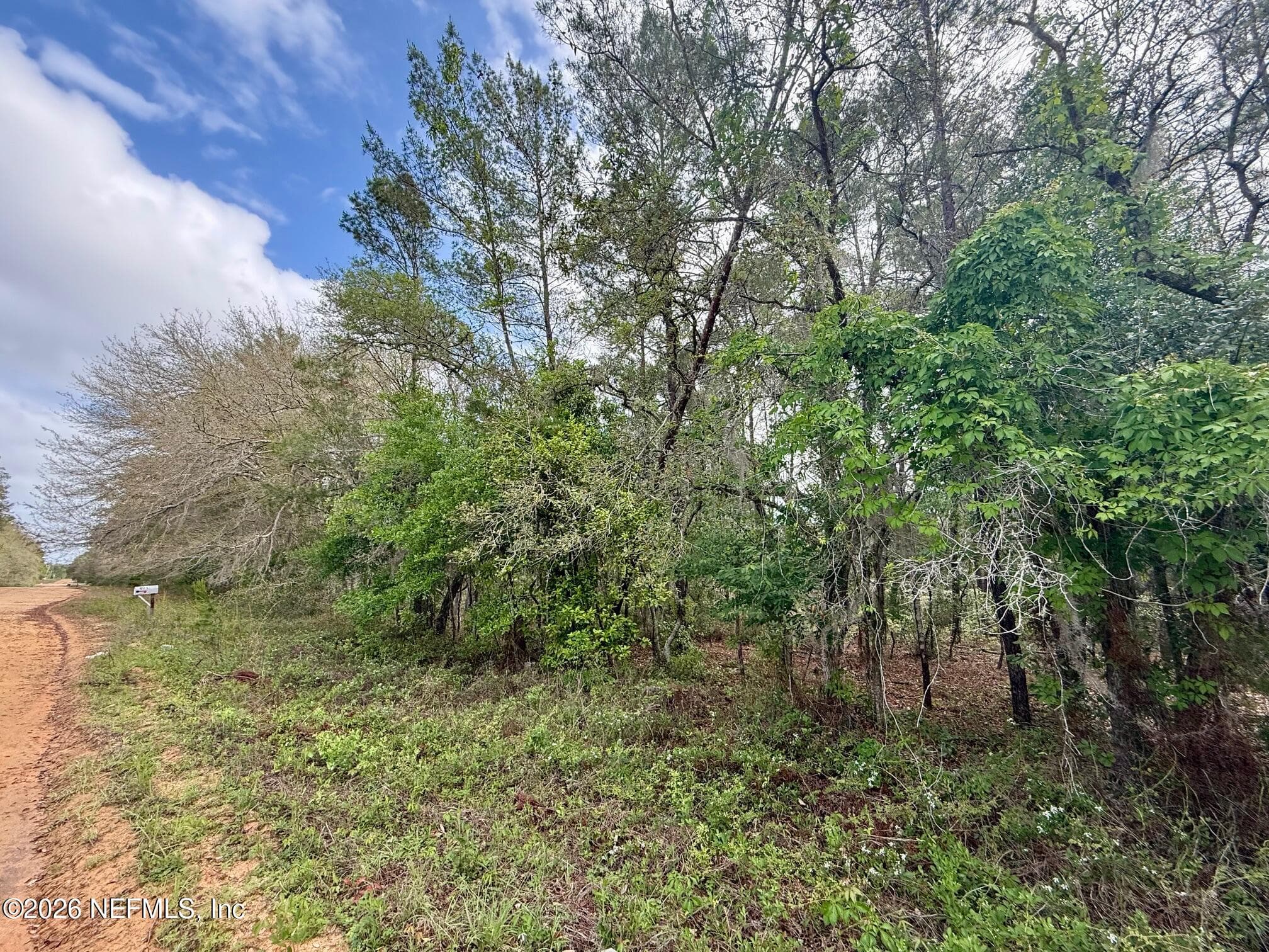 XXX NEILSEN Avenue, Interlachen, FL 32148, Interlachen — photo 2