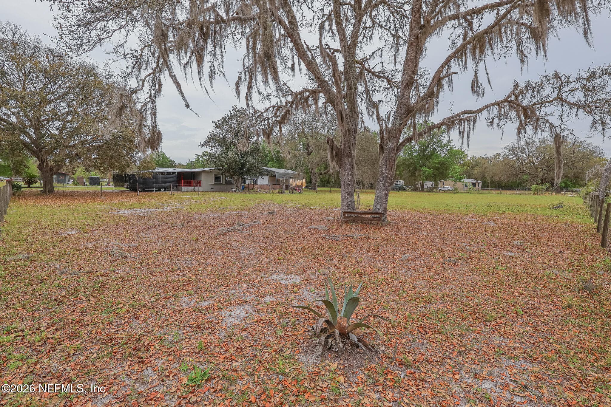 239 LYNNE Drive, Palatka, FL 32177, Palatka — photo 3