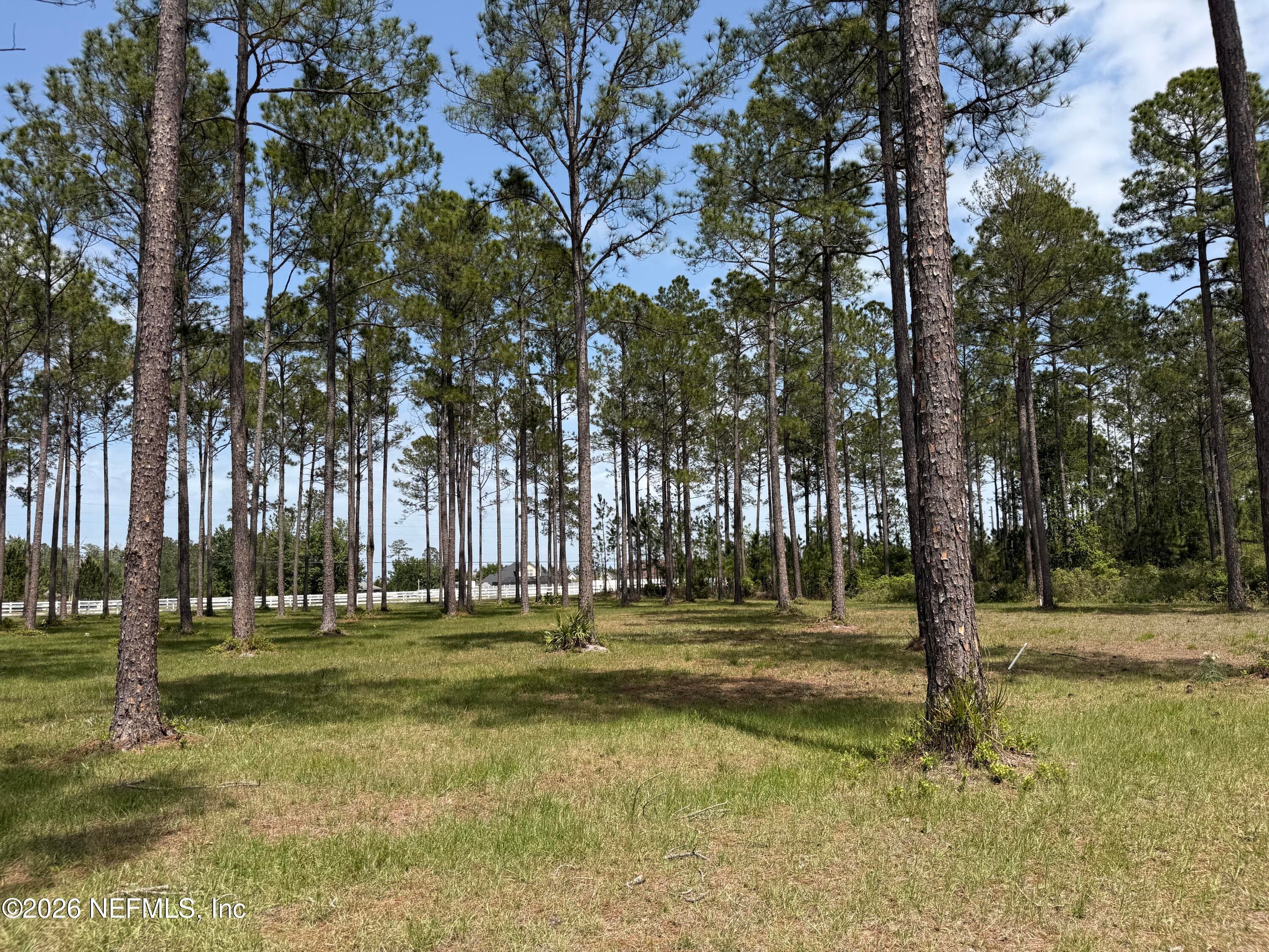 10107 HUNTERS CHASE Court, Jacksonville, FL 32219, Jacksonville — photo 2