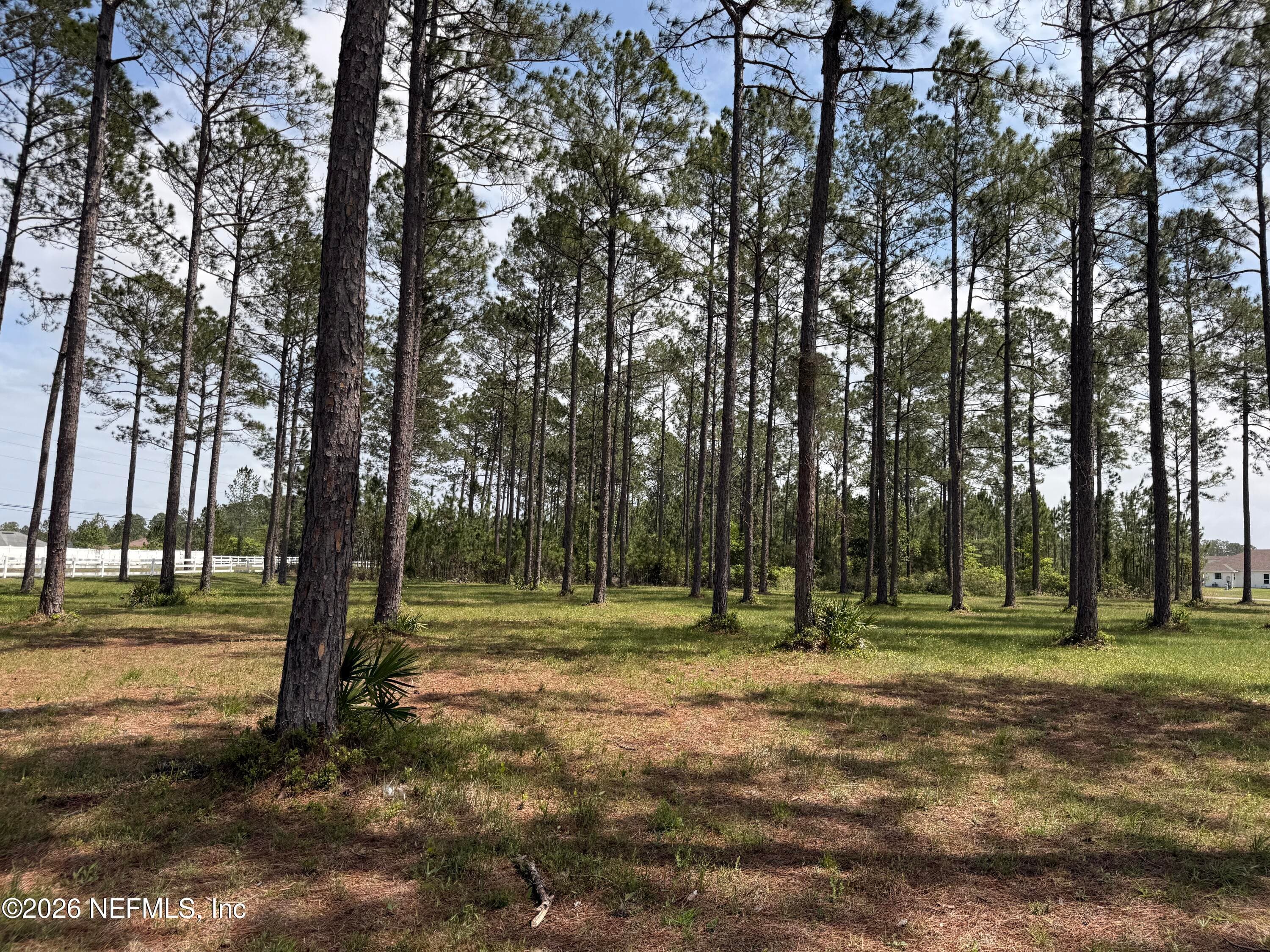 10107 HUNTERS CHASE Court, Jacksonville, FL 32219, Jacksonville — photo 3