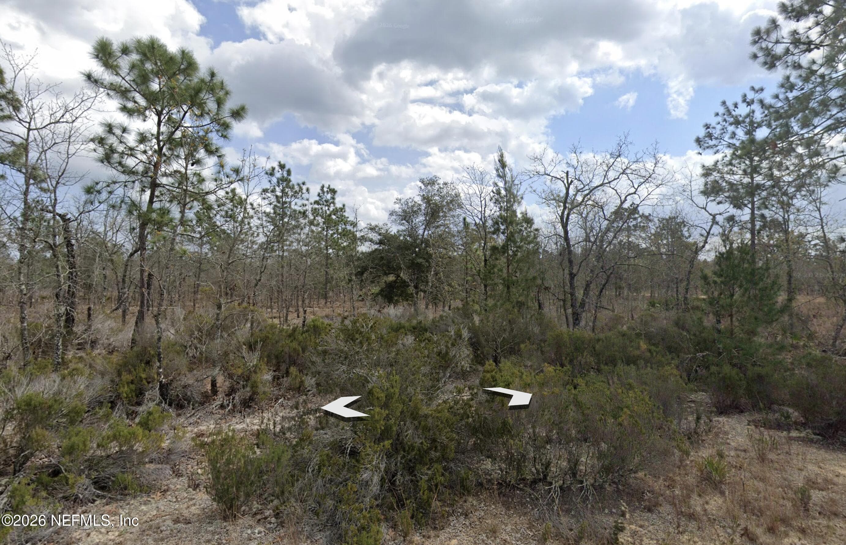 001 SALEM Trail, Interlachen, FL 32148, Interlachen — photo 3