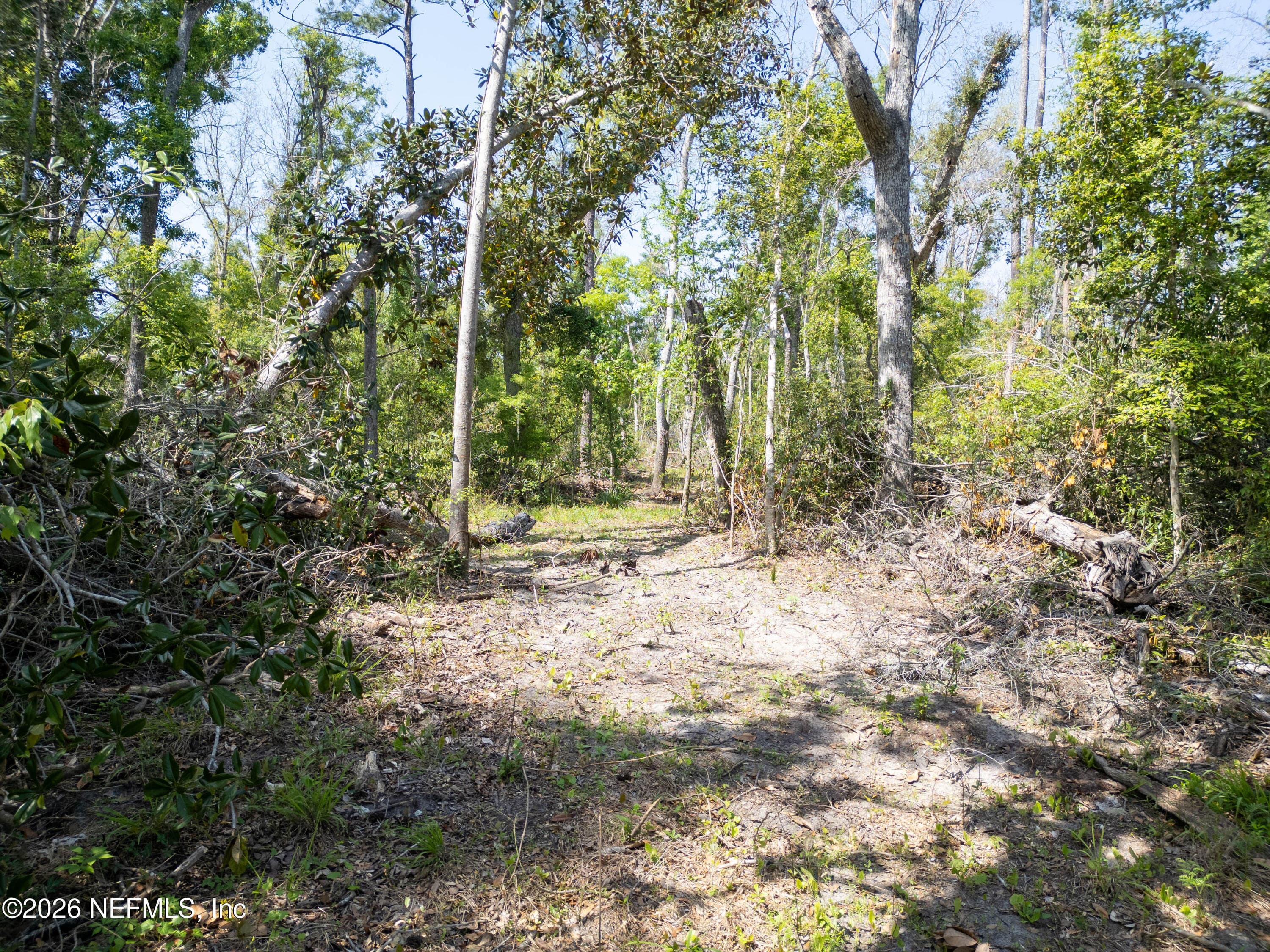LOT 4 NE MADISON BLUFFS Way, Lee, FL 32059, Lee — photo 3
