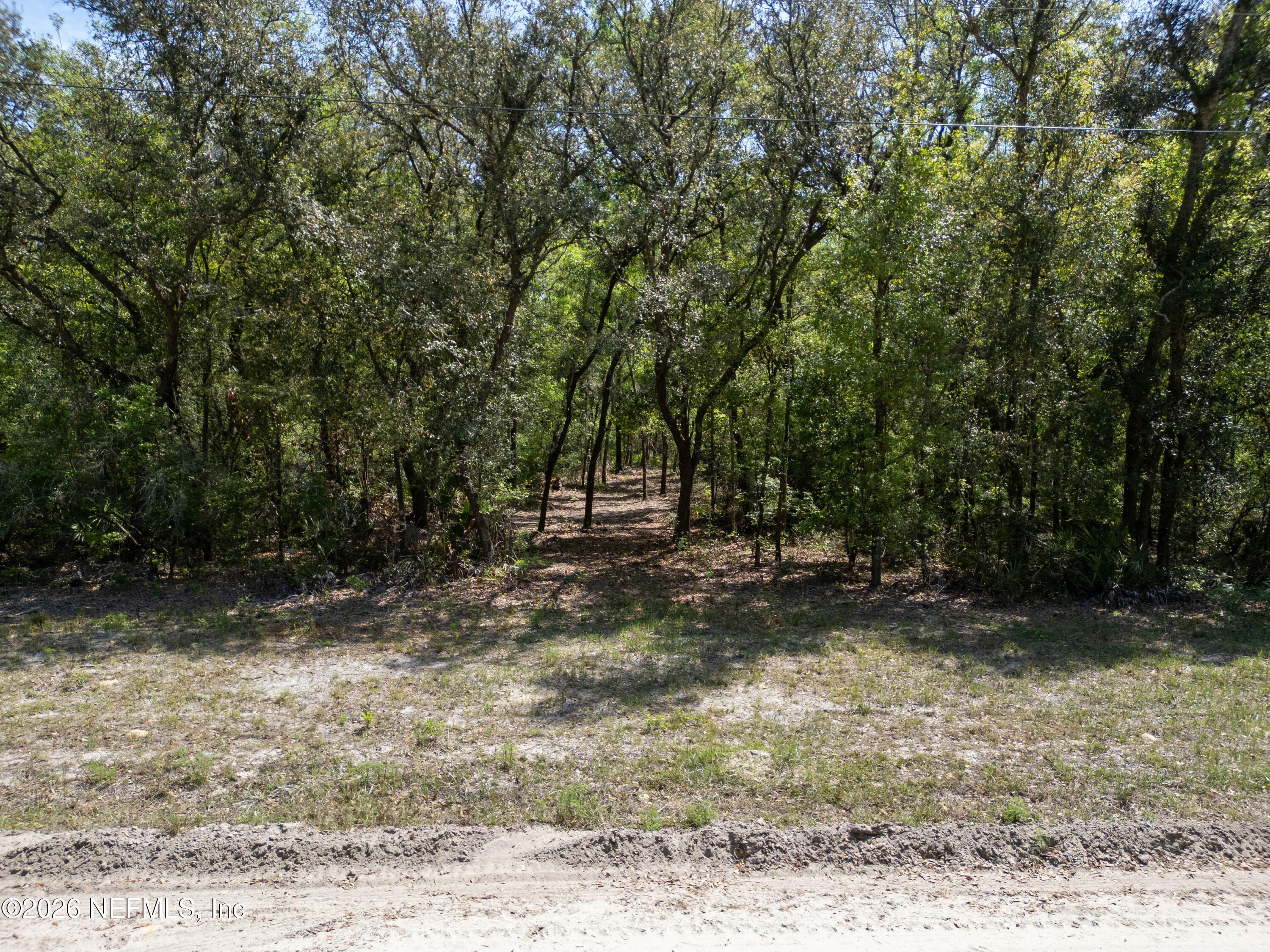 LOT 12 NE MADISON BLUFFS Way, Lee, FL 32059, Lee — photo 2
