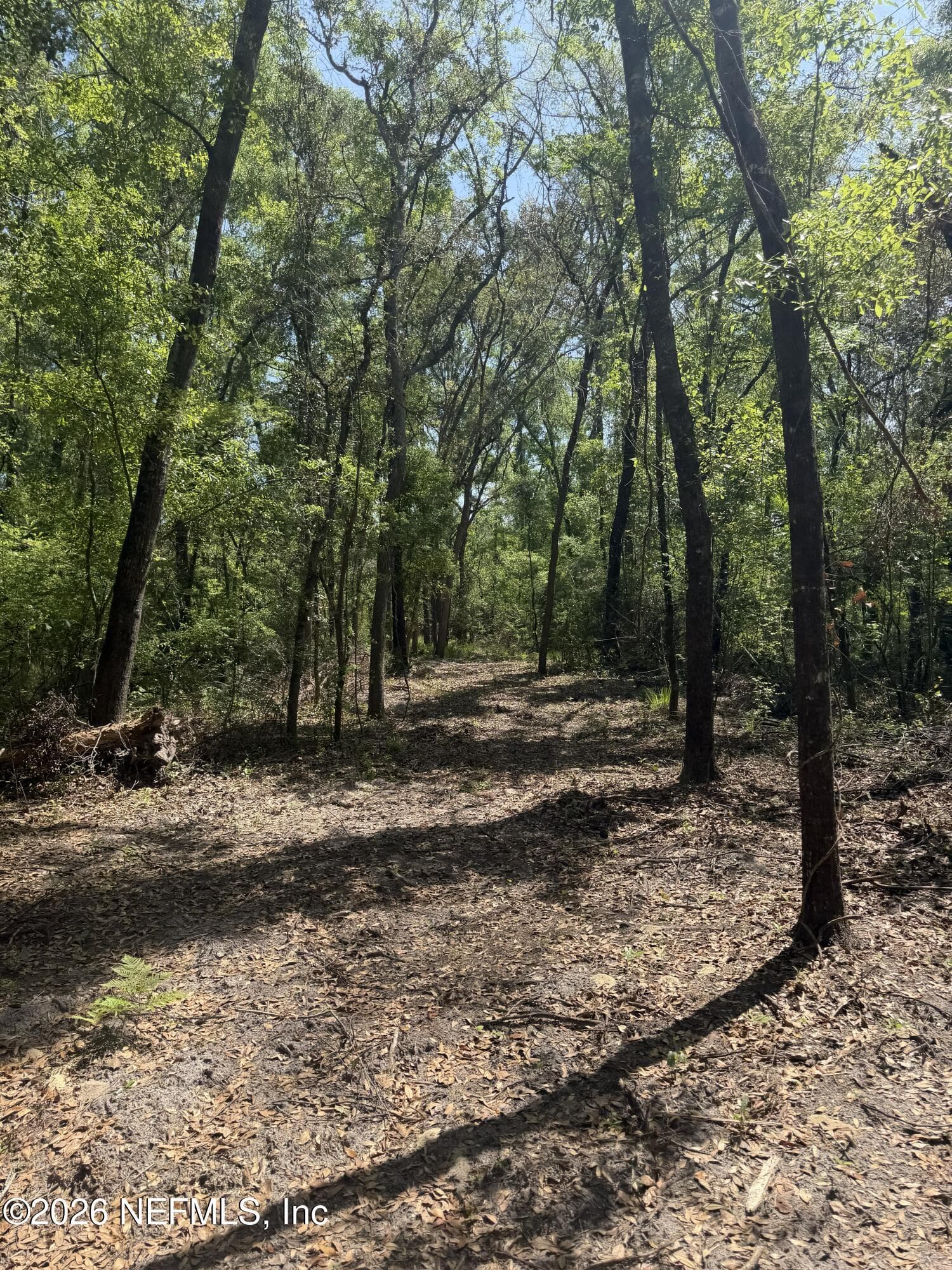 LOT 12 NE MADISON BLUFFS Way, Lee, FL 32059, Lee — photo 3