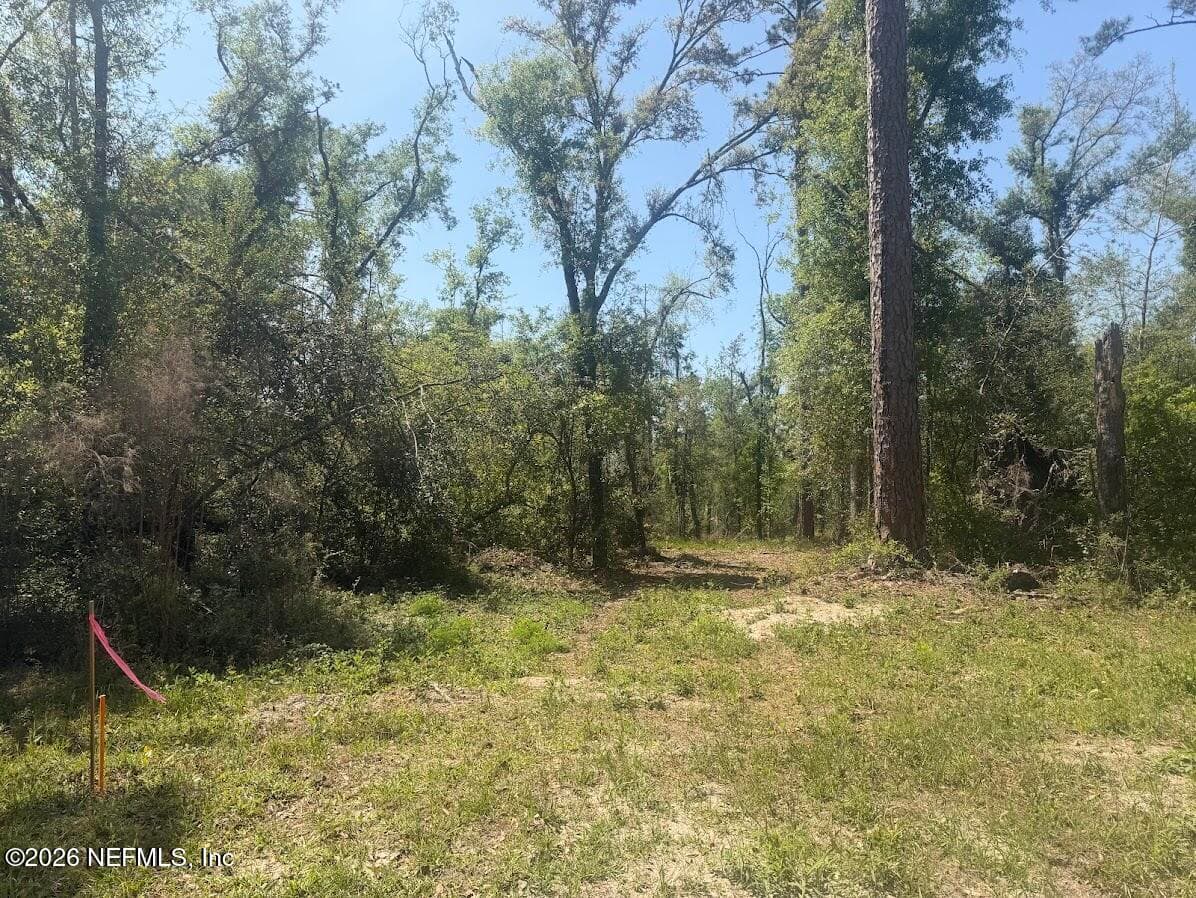 0 SW 77TH Terrace, Jasper, FL 32052, Jasper — photo 3