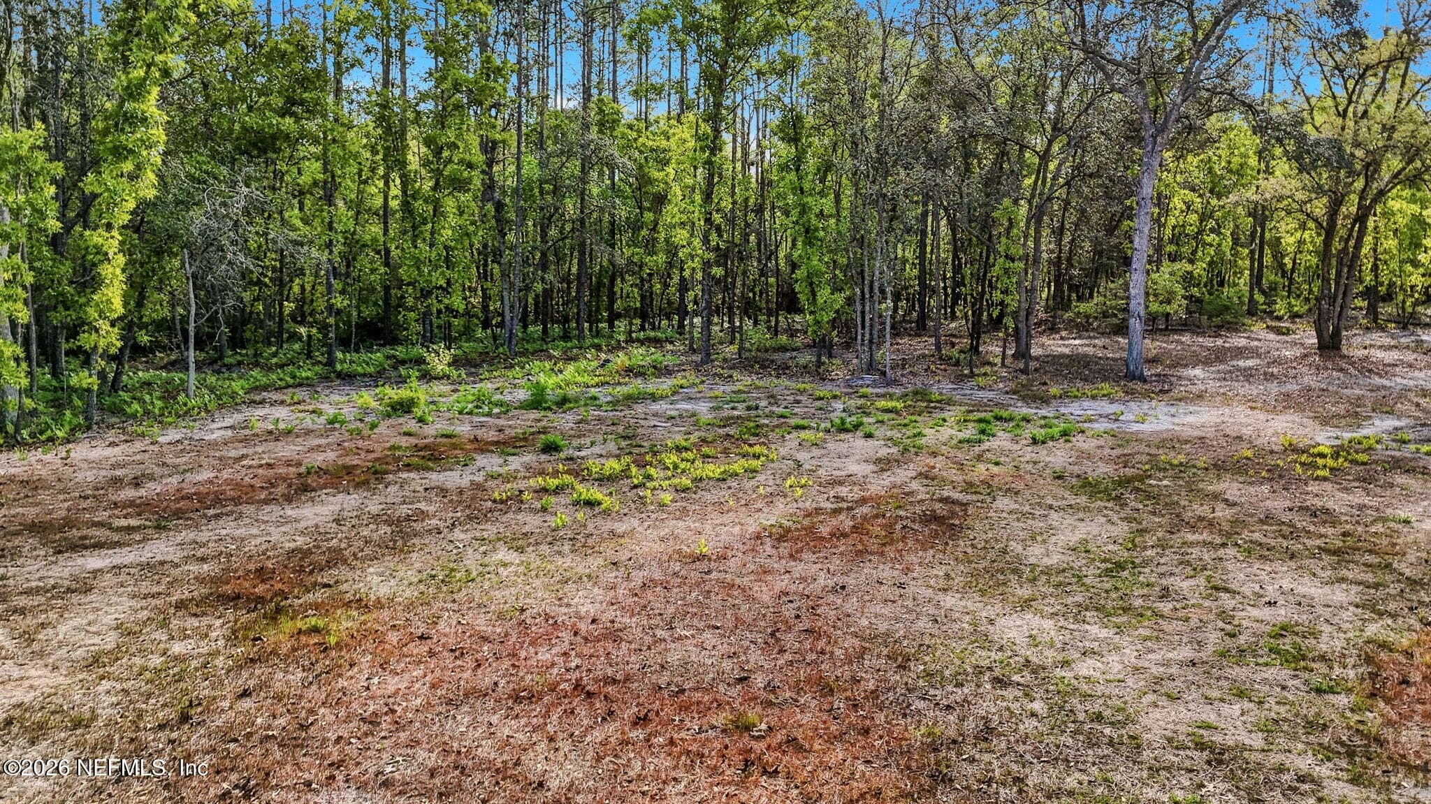 13541 SETTINDOWN Drive, Bryceville, FL 32009, Bryceville — photo 3