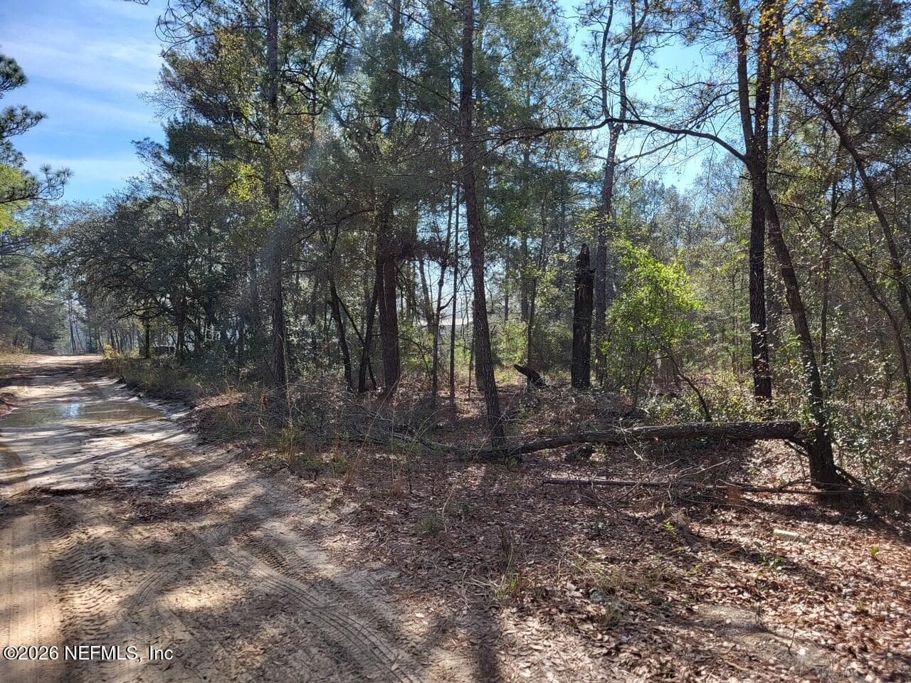 6040 FURMAN Avenue, Keystone Heights, FL 32656, Keystone Heights — photo 3