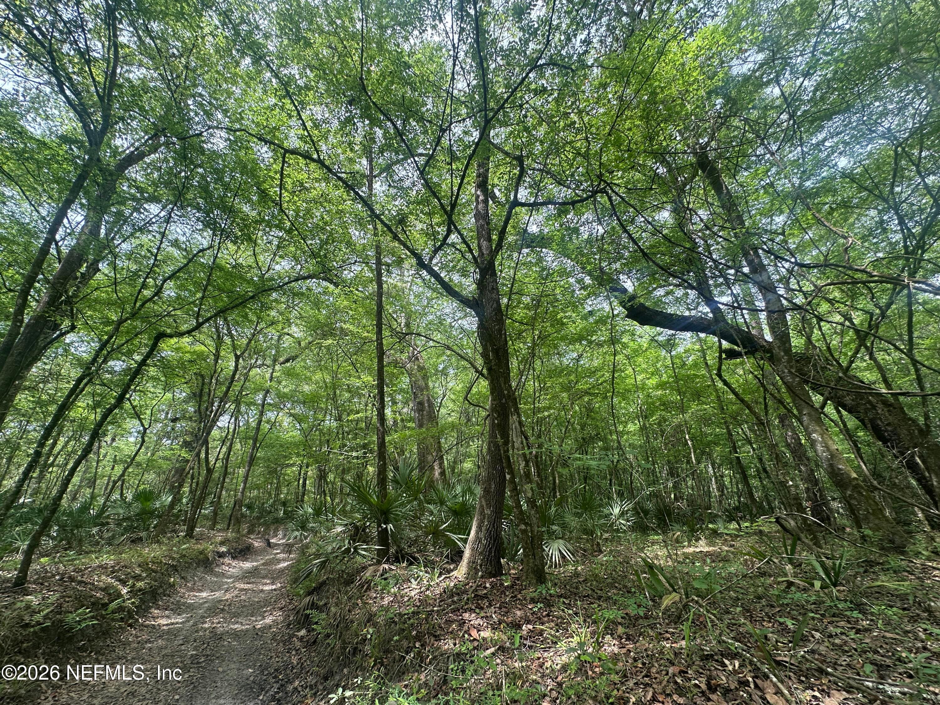 000 BLACK CREEK Drive, Middleburg, FL 32068, Middleburg — photo 3
