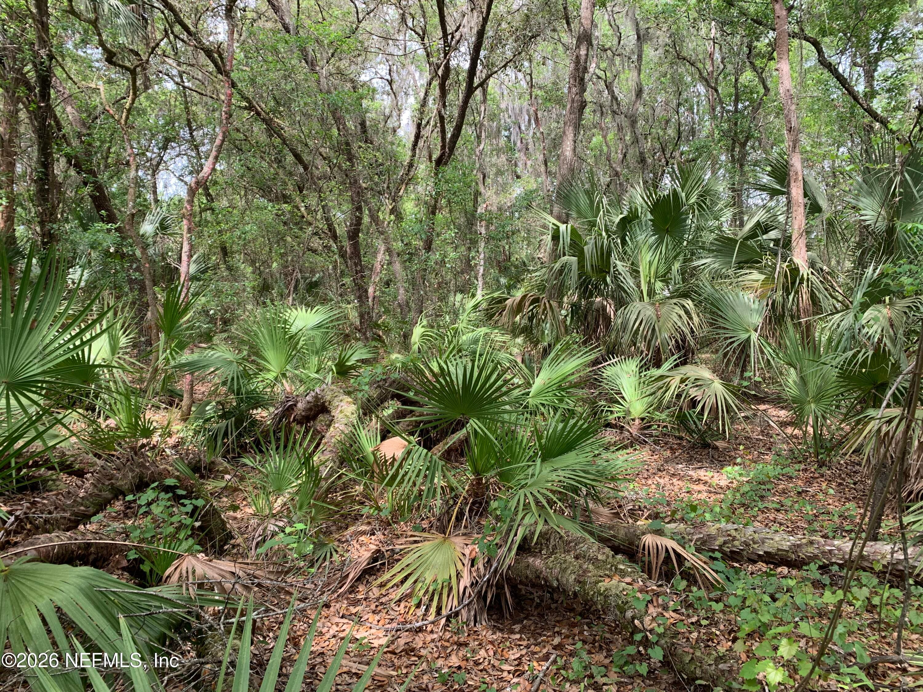 00 OLD WOODS Road, Interlachen, FL 32148, Interlachen — exterior