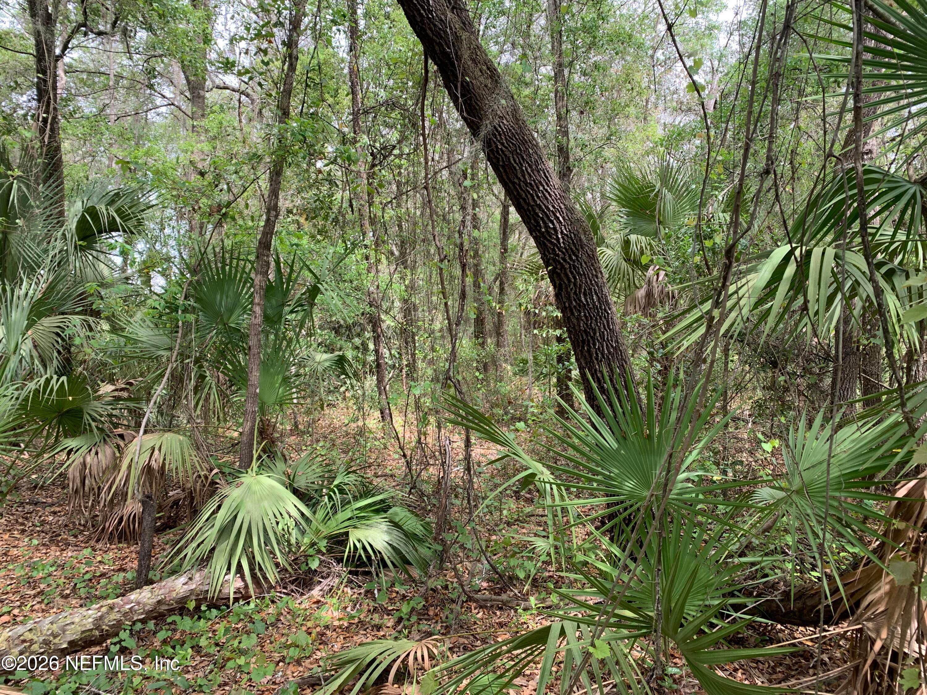 00 OLD WOODS Road, Interlachen, FL 32148, Interlachen — photo 2