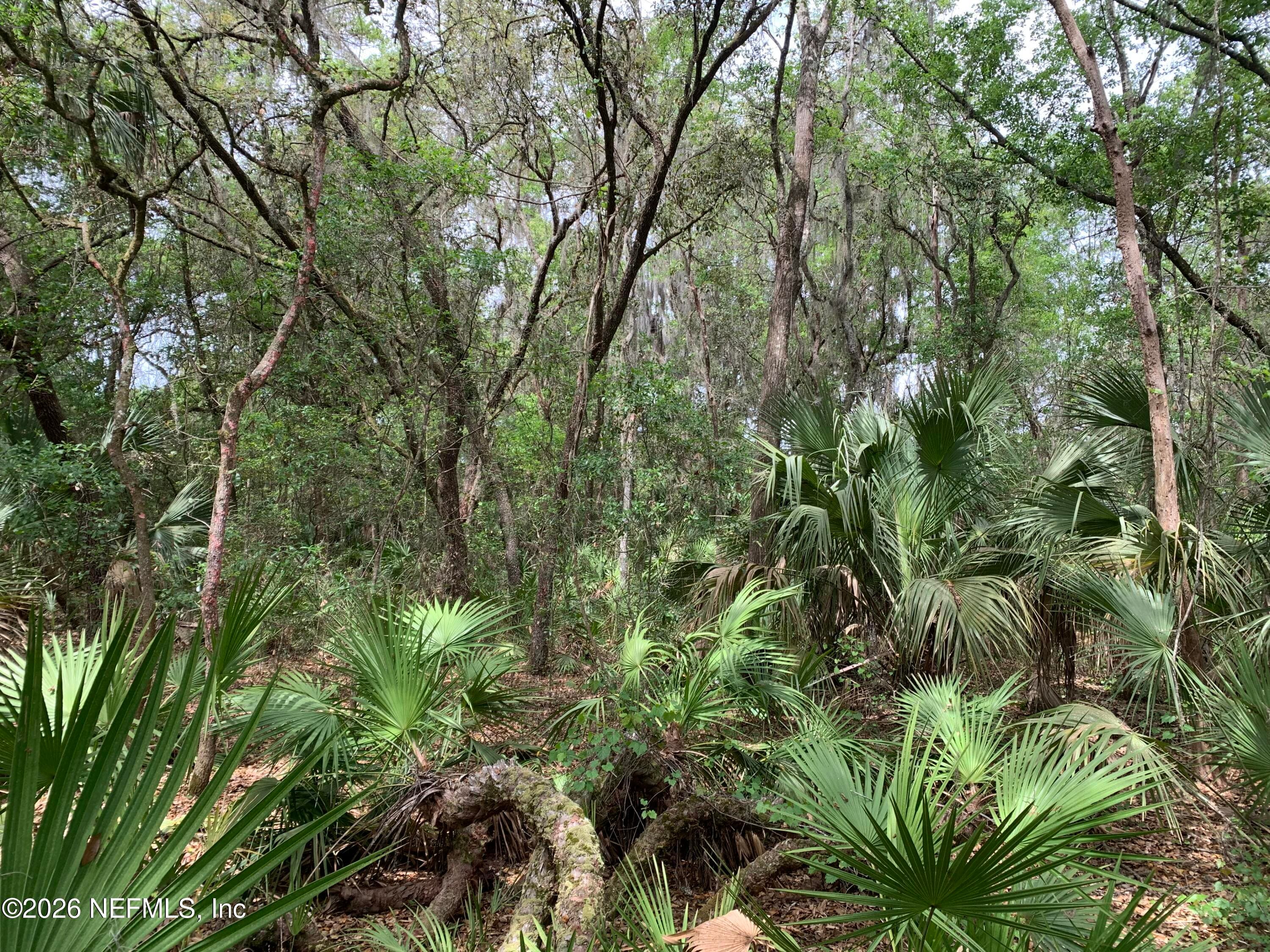 00 OLD WOODS Road, Interlachen, FL 32148, Interlachen — photo 3