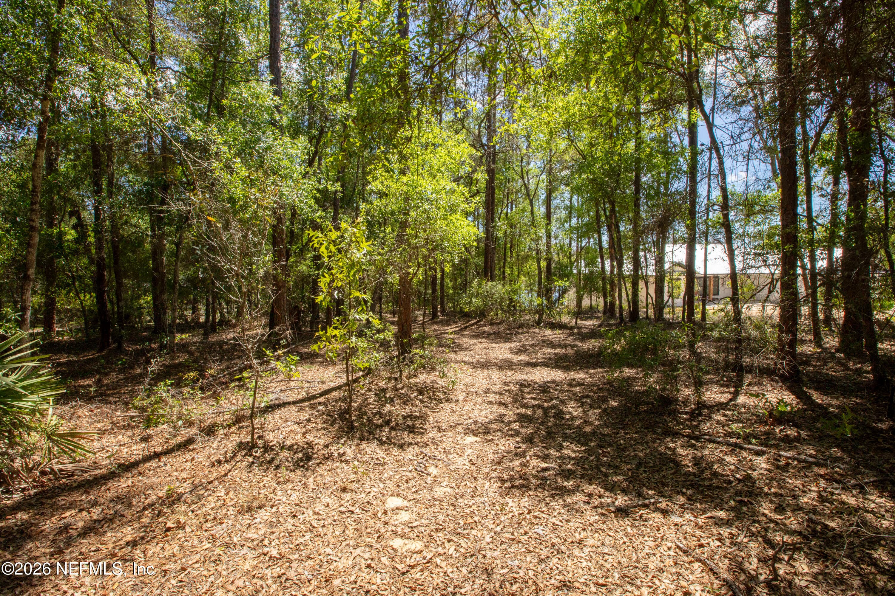 111 GATOR Trail, Melrose, FL 32666, Melrose — photo 2