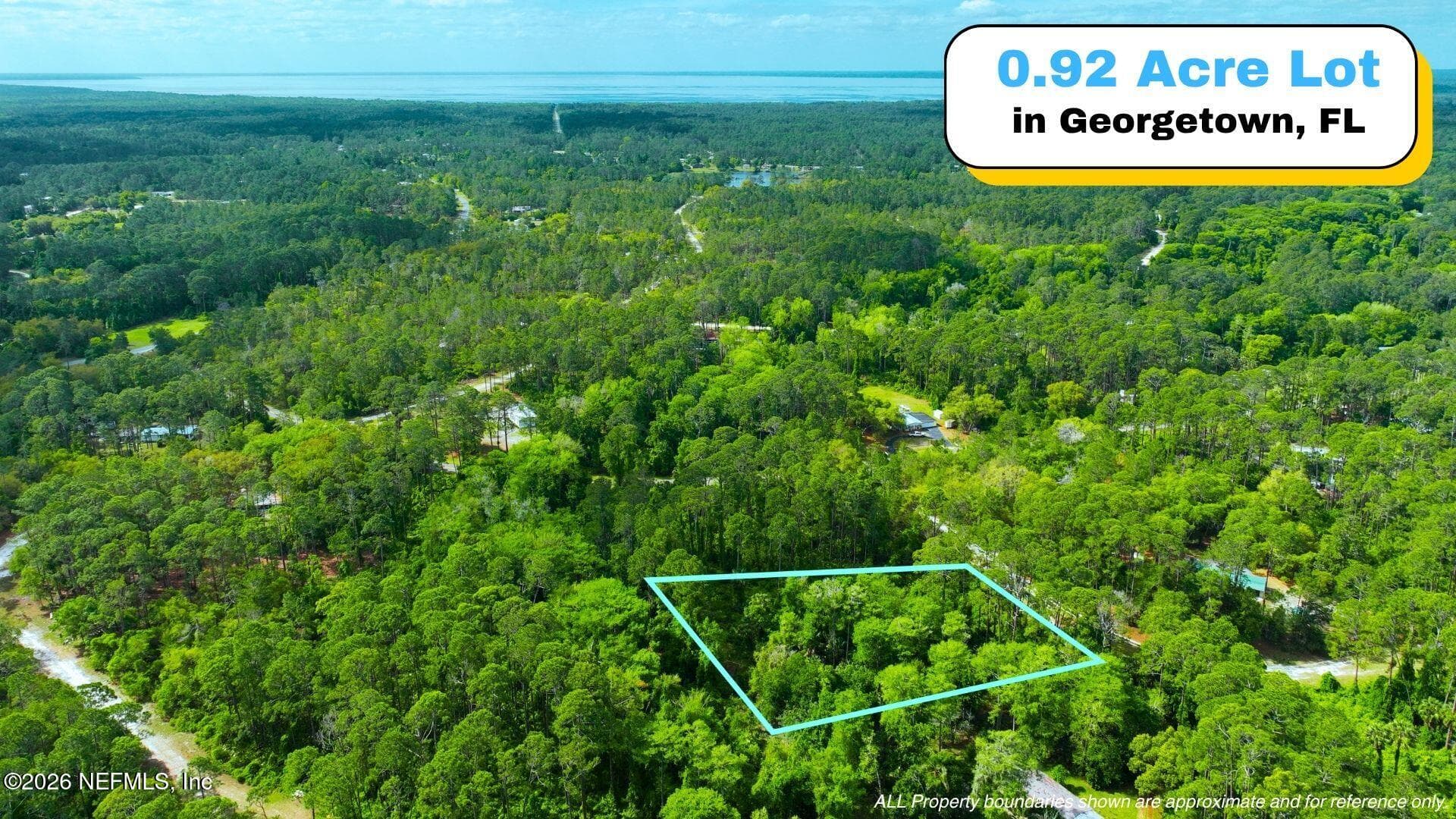 102 HYACINTH Court, Georgetown, FL 32139, Georgetown — exterior