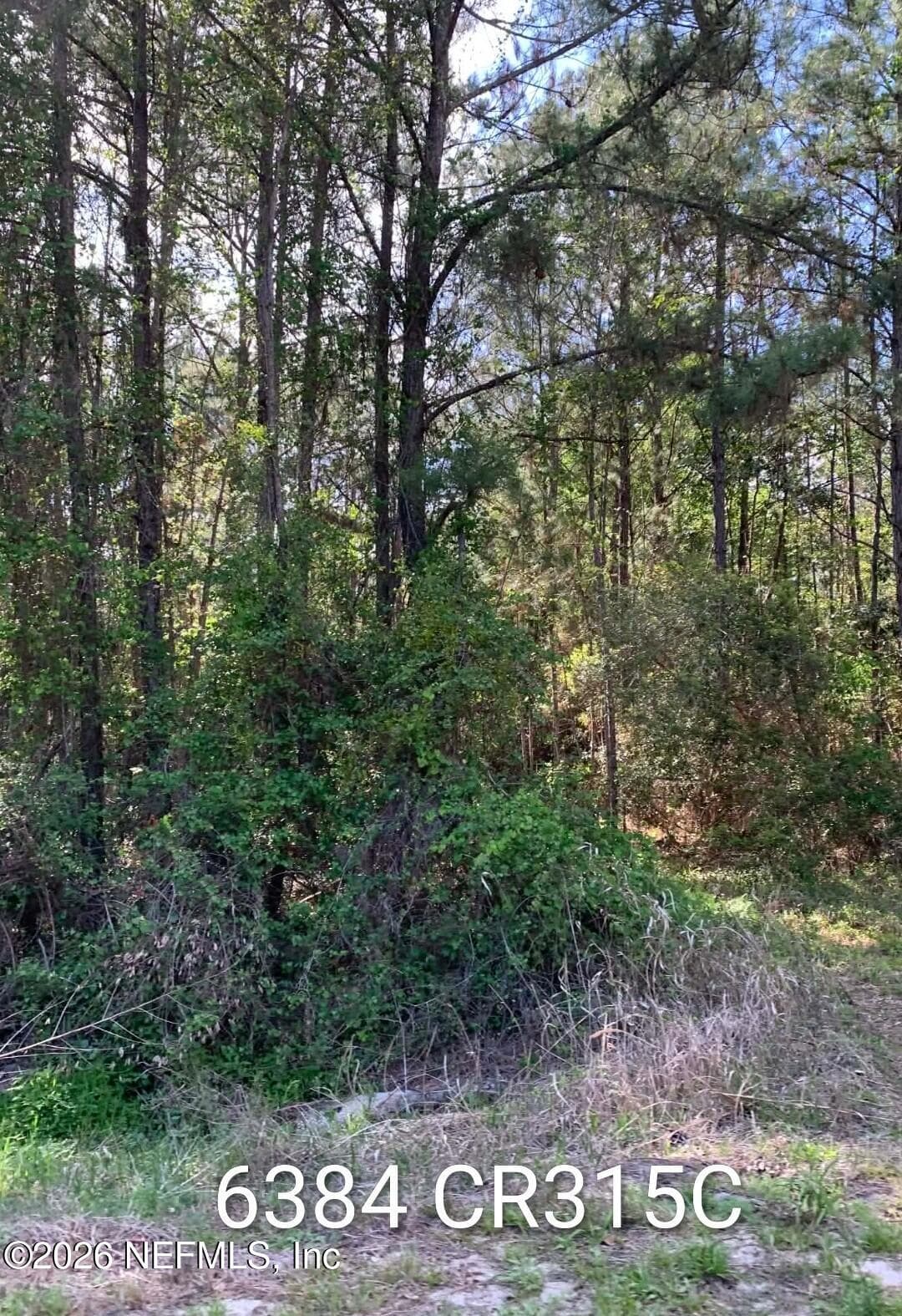 6384 COUNTY ROAD 315, Keystone Heights, FL 32656, Keystone Heights — photo 2