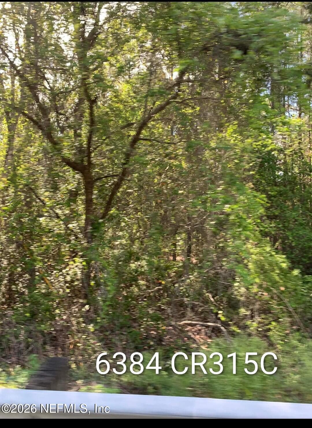 6384 COUNTY ROAD 315, Keystone Heights, FL 32656, Keystone Heights — photo 3