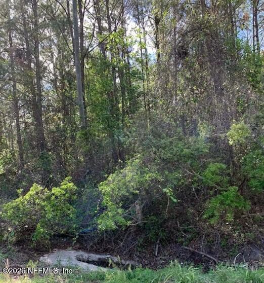 6378 COUNTY ROAD 315C, Keystone Heights, FL 32656, Keystone Heights — photo 3