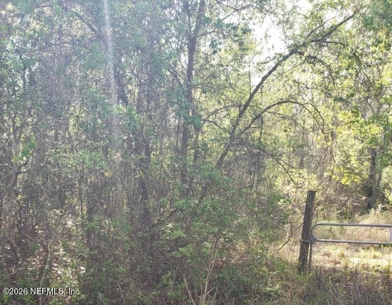 6372 COUNTY ROAD 315C, Keystone Heights, FL 32656, Keystone Heights — photo 3