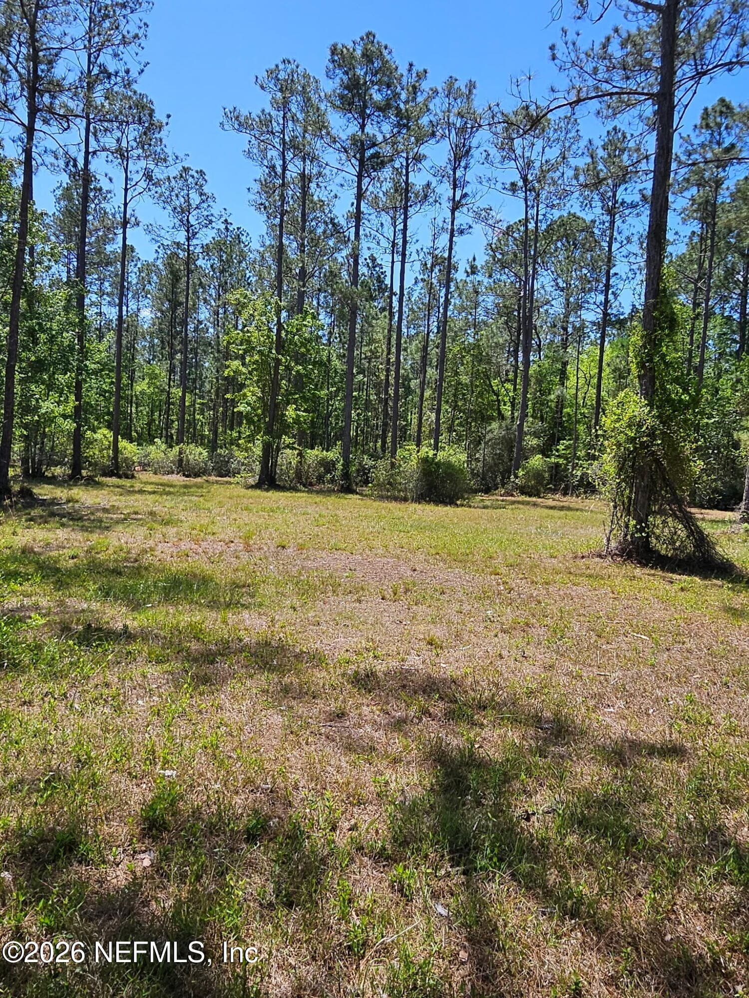 10136 KINGS CROSSING Drive, Jacksonville, FL 32219, Jacksonville — photo 2