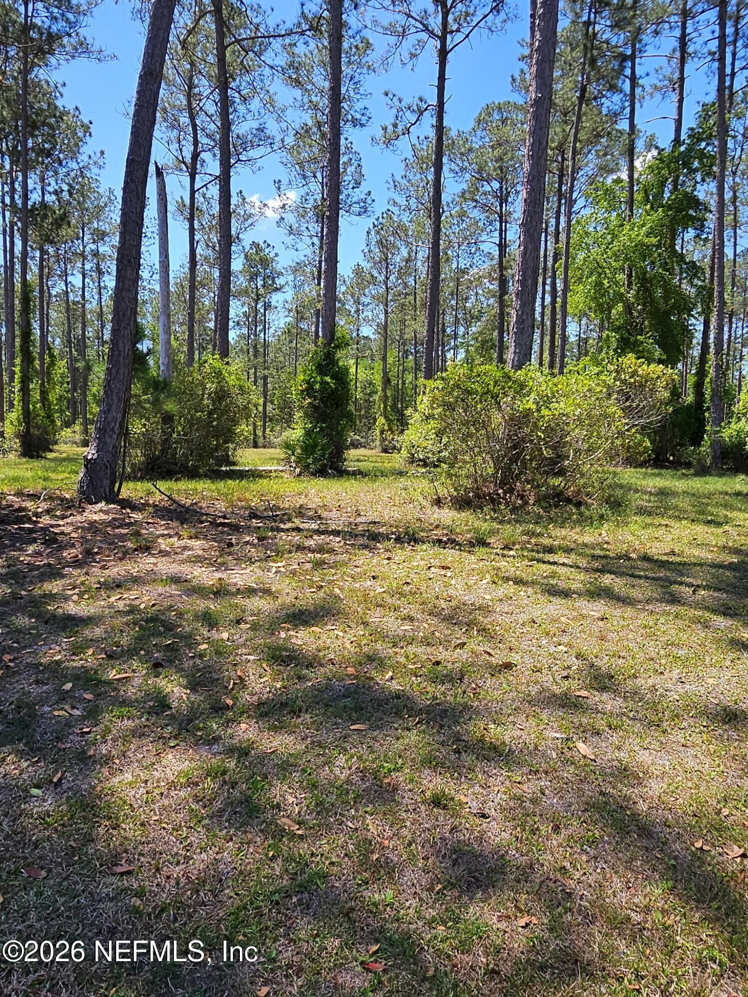 10136 KINGS CROSSING Drive, Jacksonville, FL 32219, Jacksonville — exterior