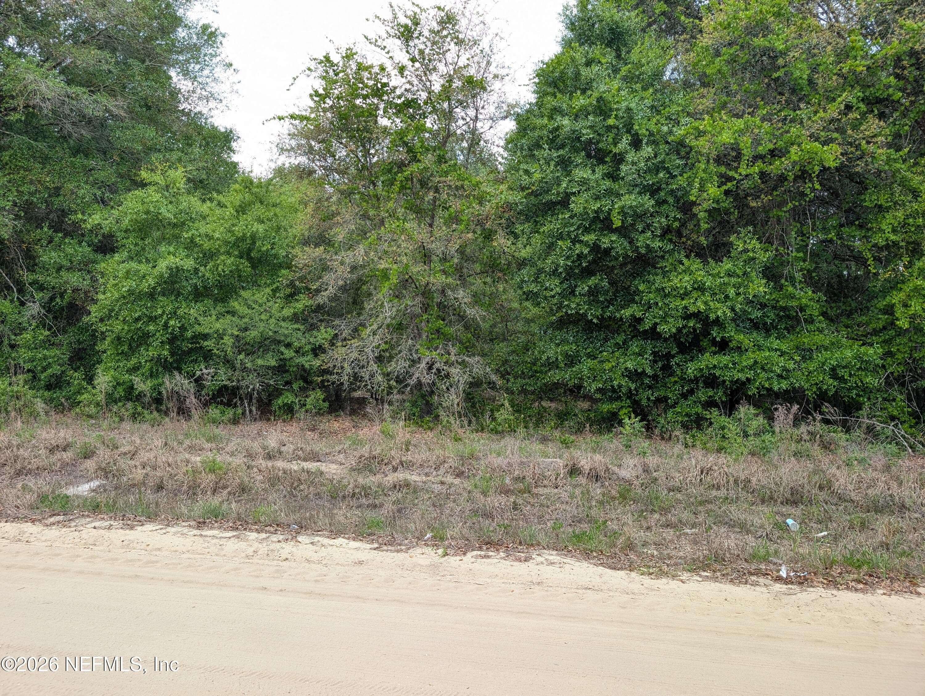 0060 MALTAS Avenue, Interlachen — exterior