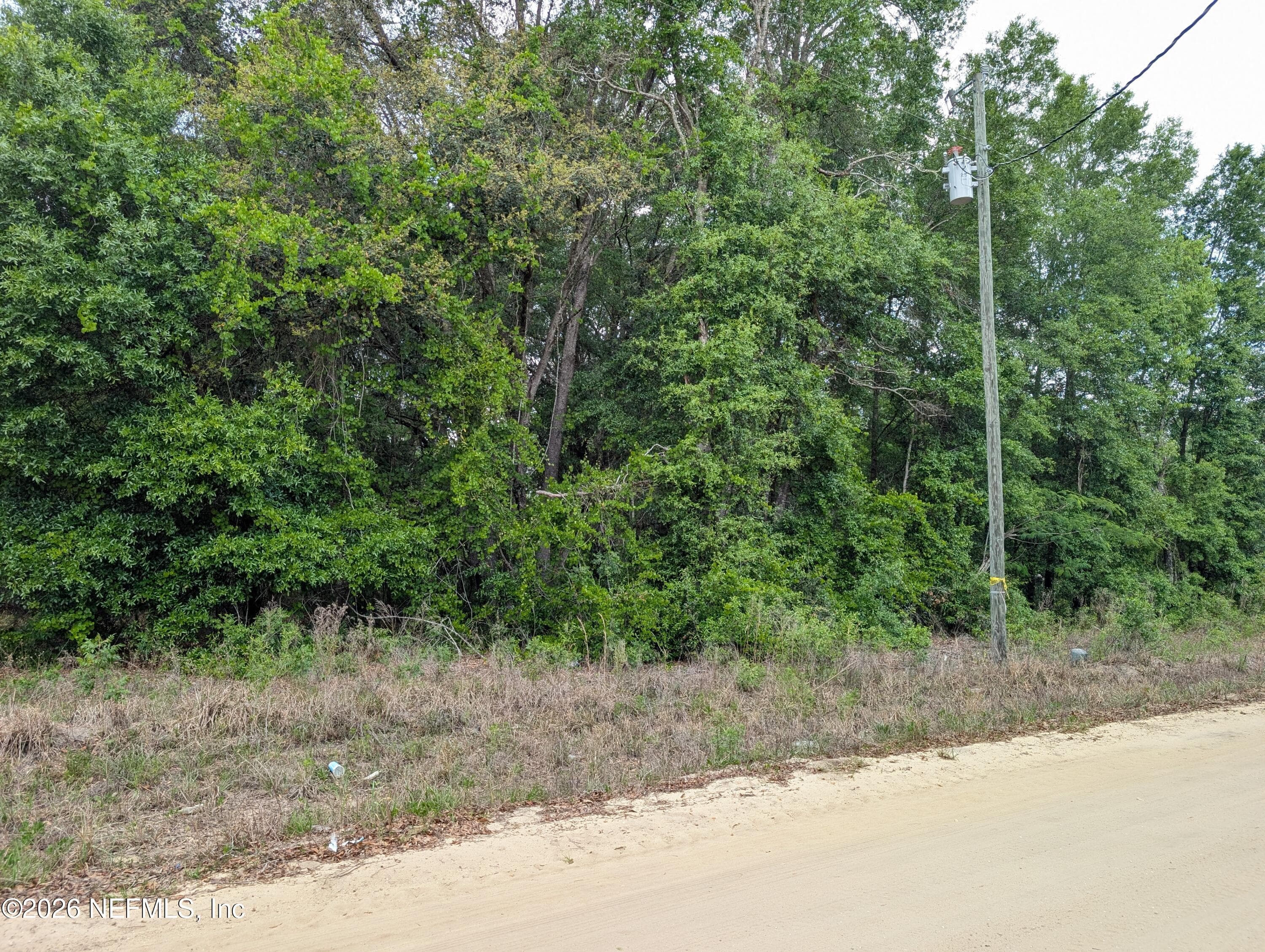 0060 MALTAS Avenue, Interlachen — photo 2