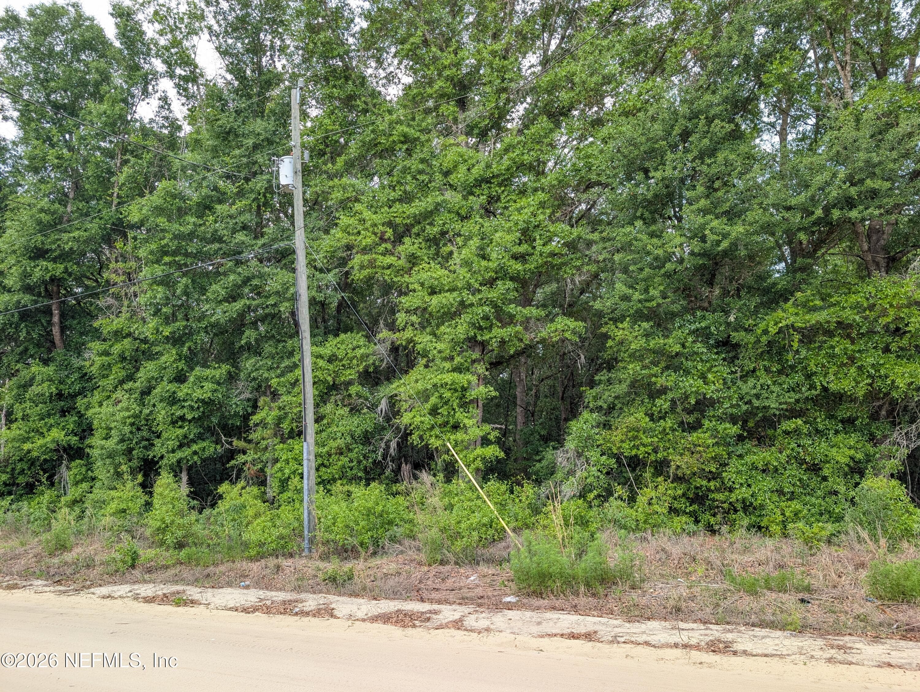 0060 MALTAS Avenue, Interlachen — photo 3