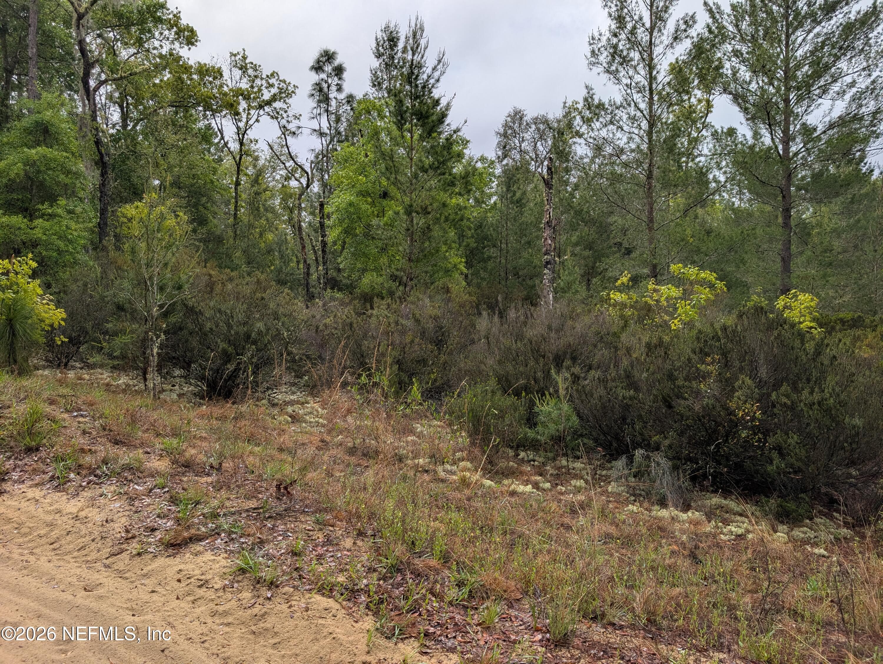LOT 34- 35 MALTAS Avenue, Interlachen, FL 32148, Interlachen — photo 3