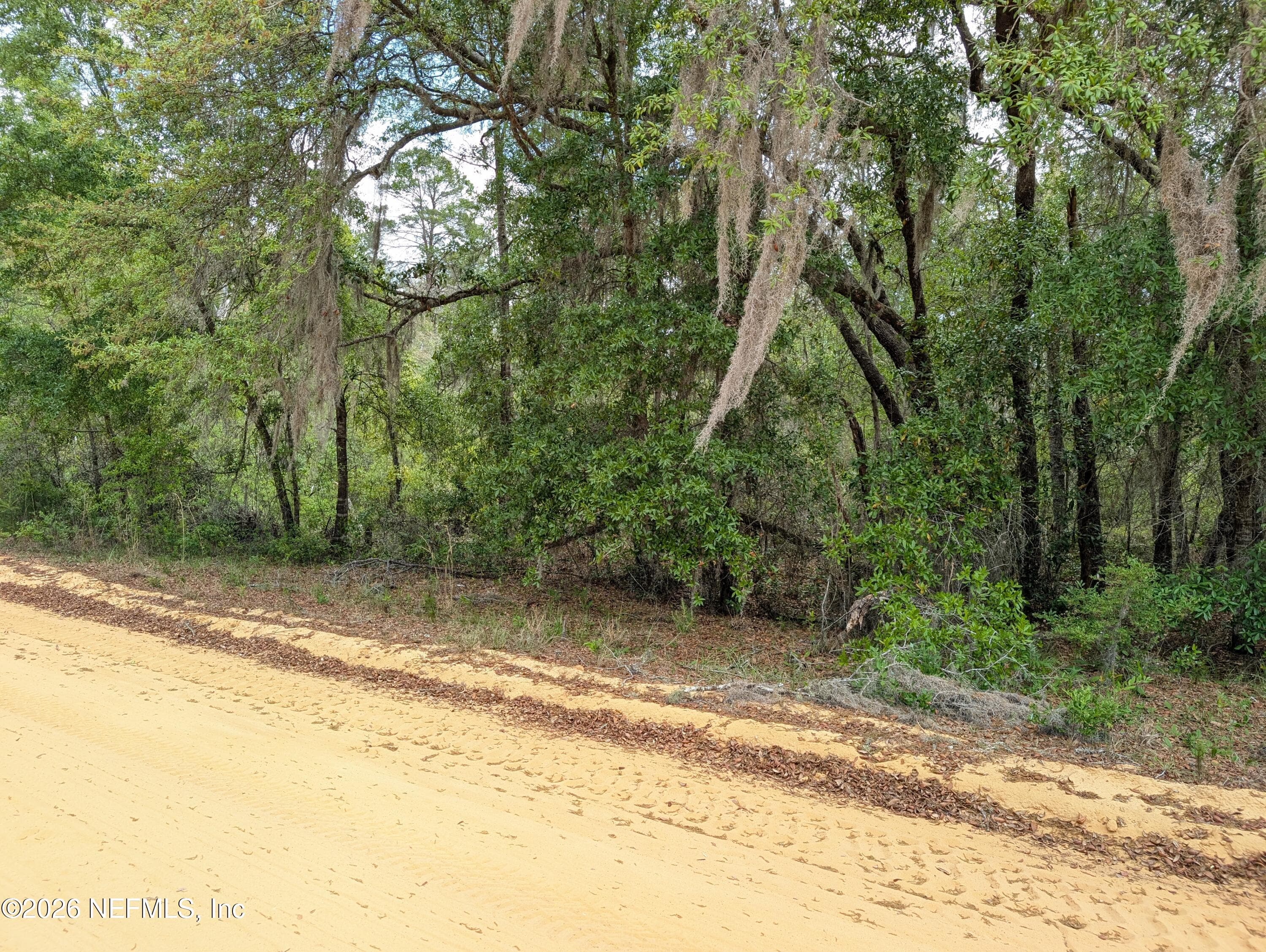 LOTS 19-21 SELMA Avenue, Interlachen — photo 2