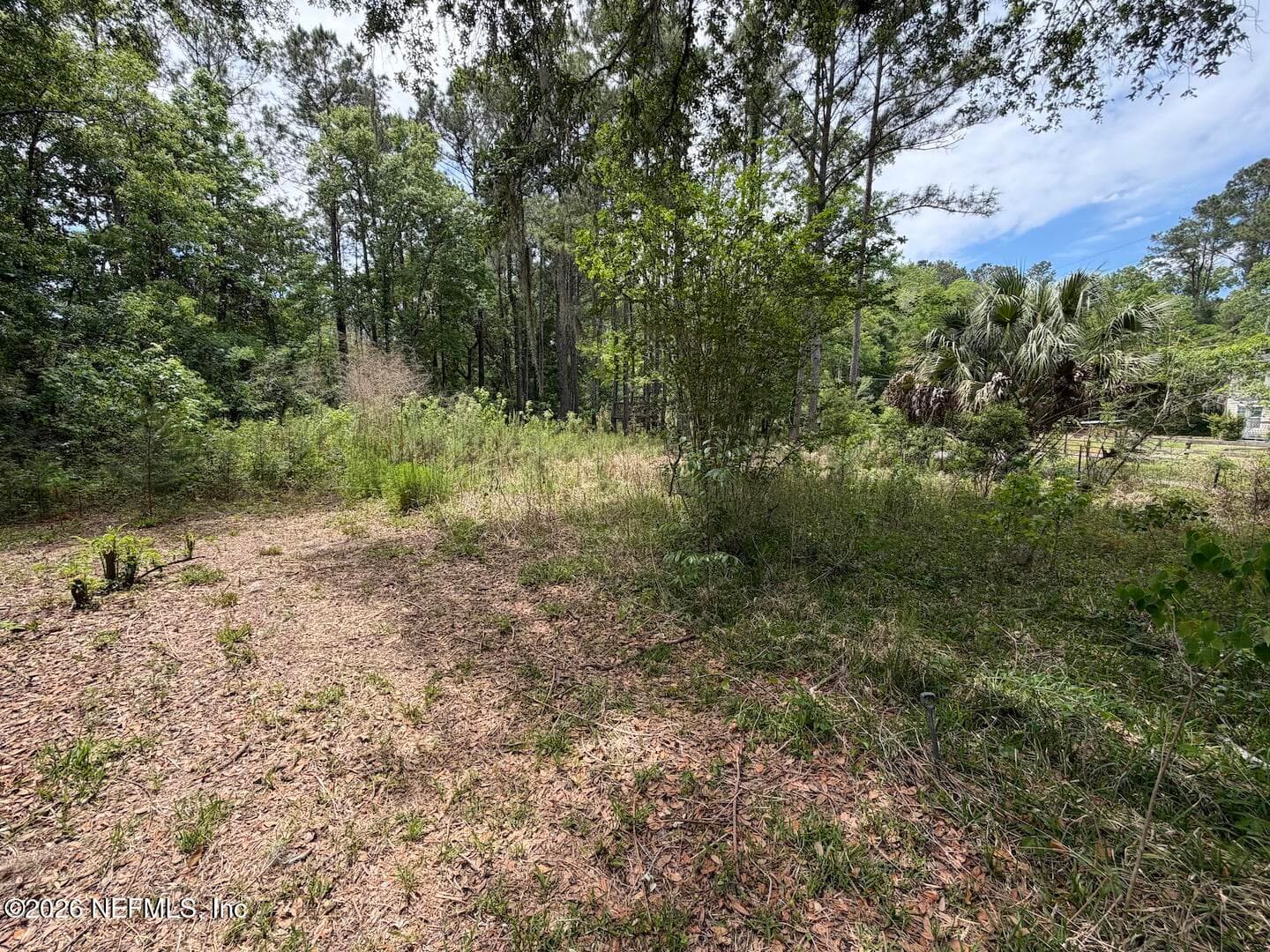 11530 HOLTON Lane, Jacksonville — photo 2