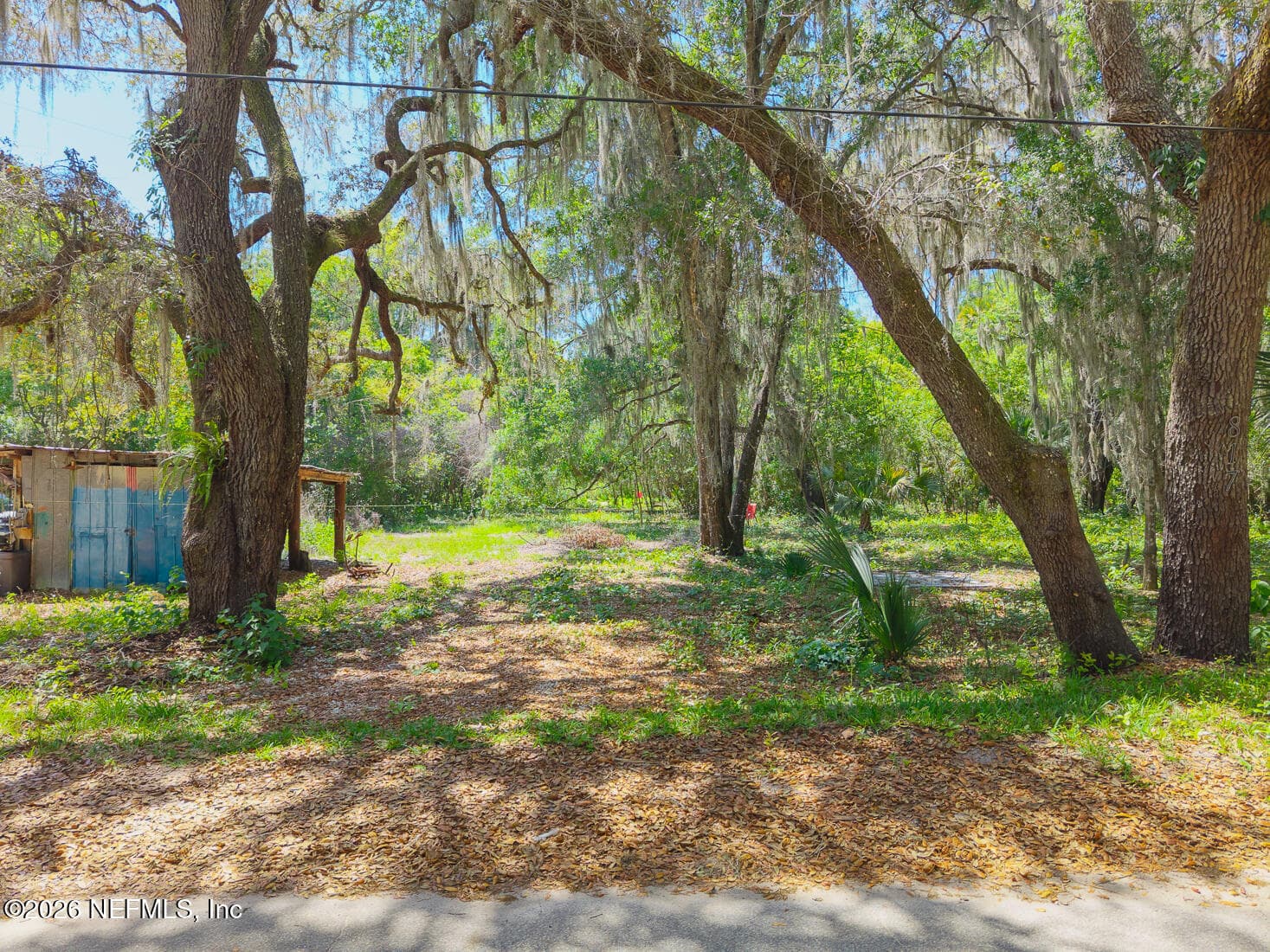 817 RANDOLPH Street, Crescent City, FL 32112, Crescent City — photo 3