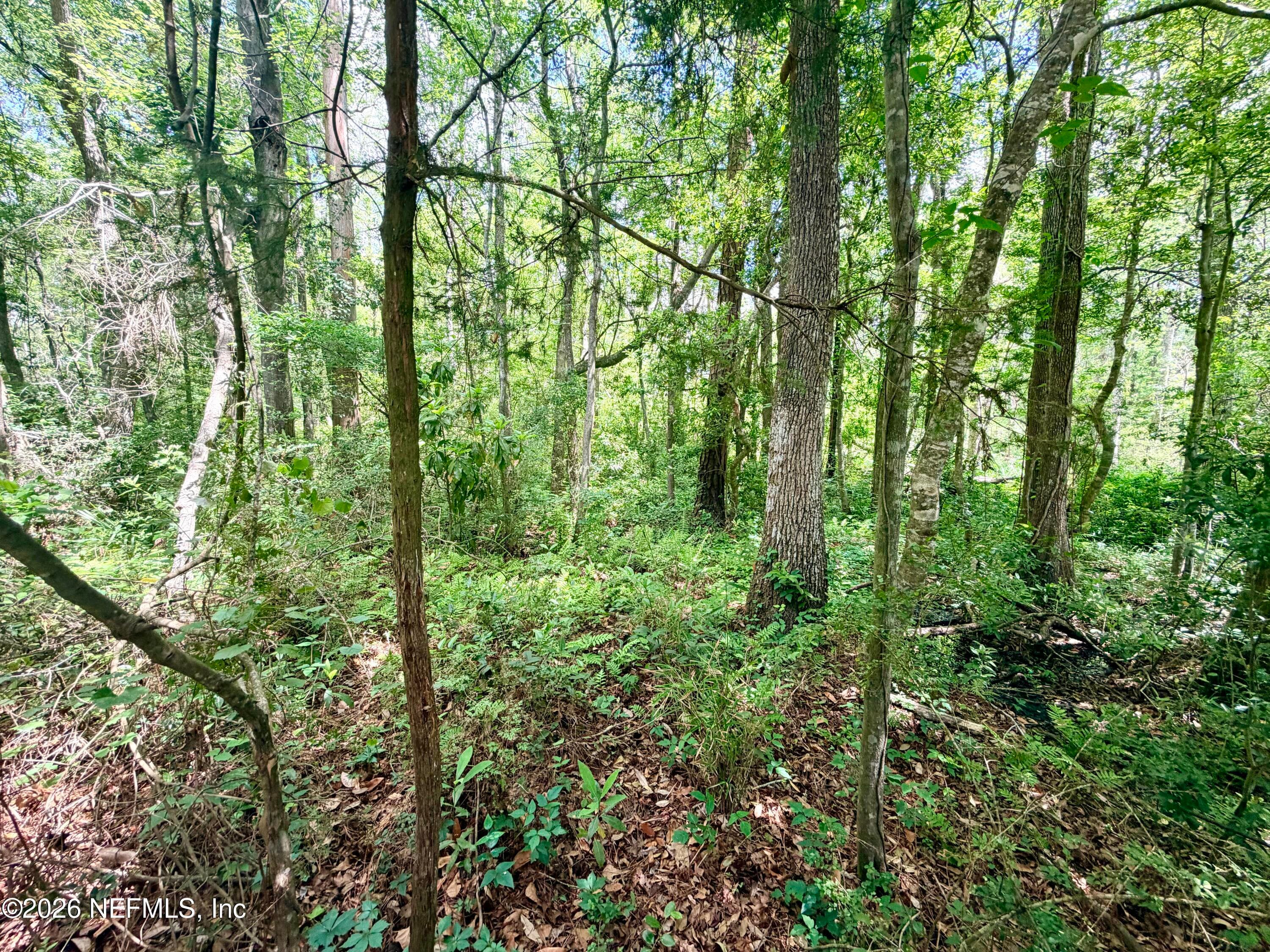 0 N 5TH Street, Macclenny, FL 32063, Macclenny — photo 3