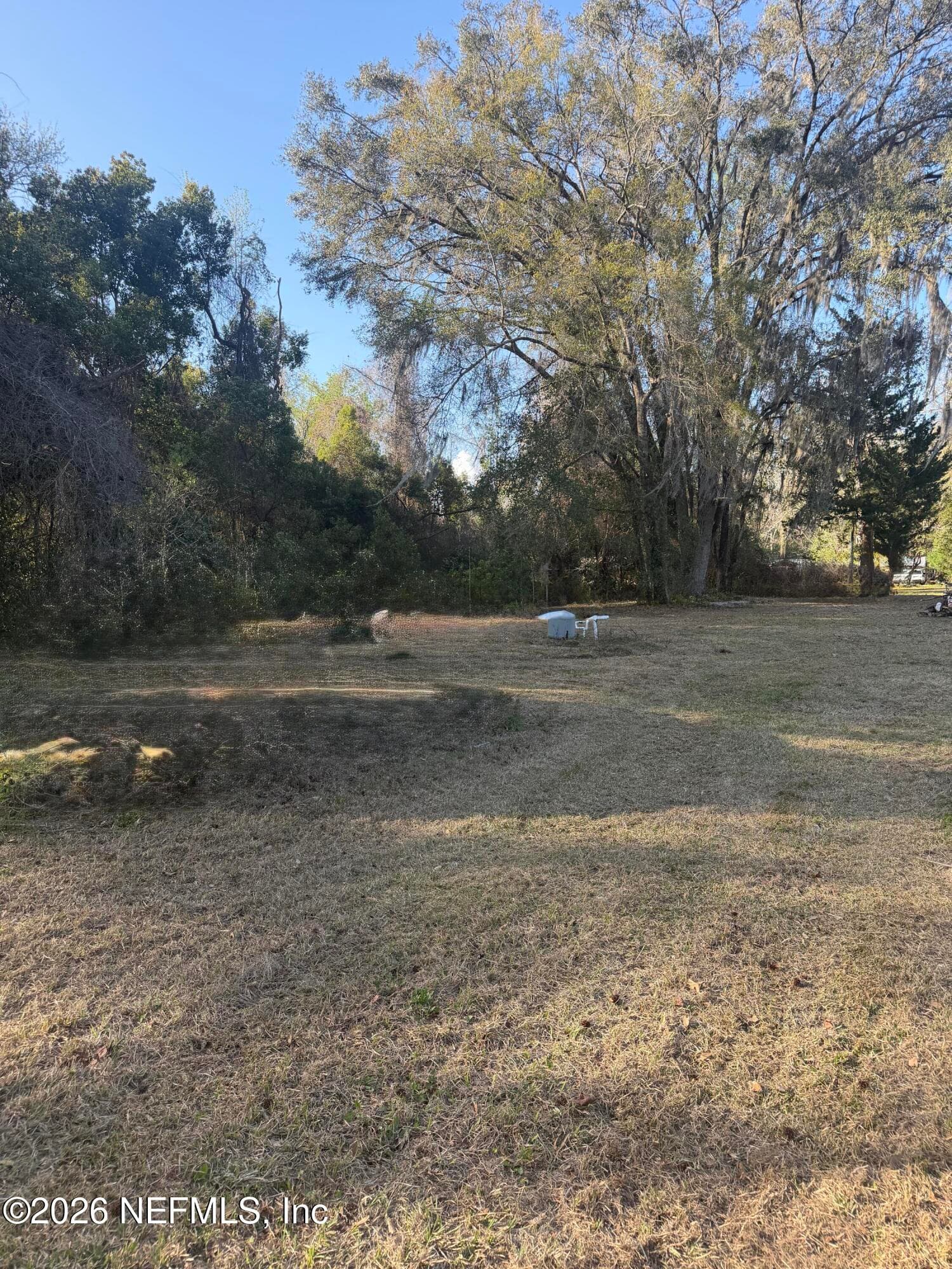 3477 OLIN BAXLEY, Middleburg — photo 3