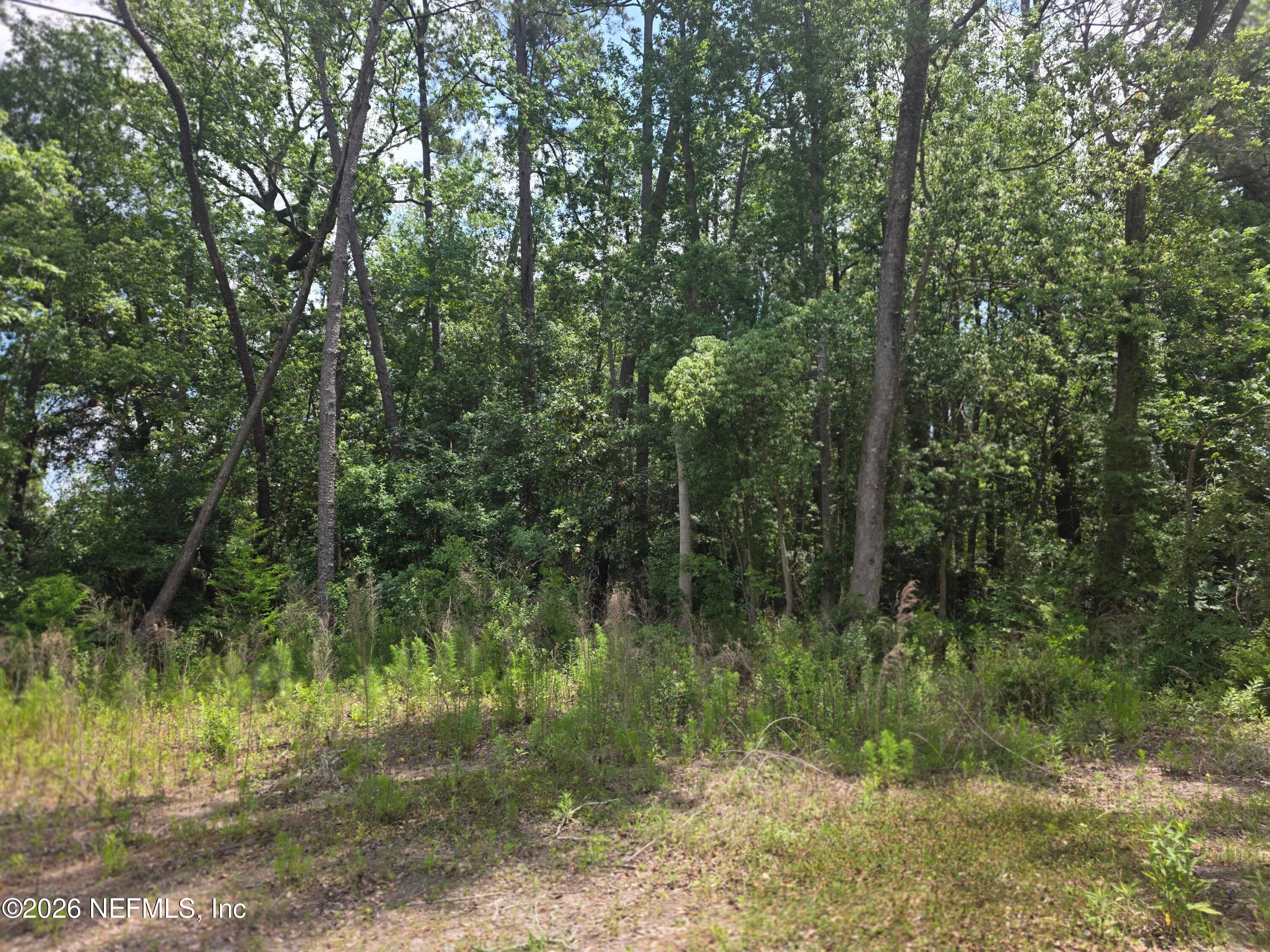 0 POPE Place, Jacksonville, FL 32209, Jacksonville — photo 3