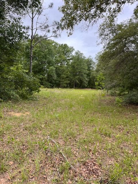 0 MILTON Avenue, Interlachen — exterior