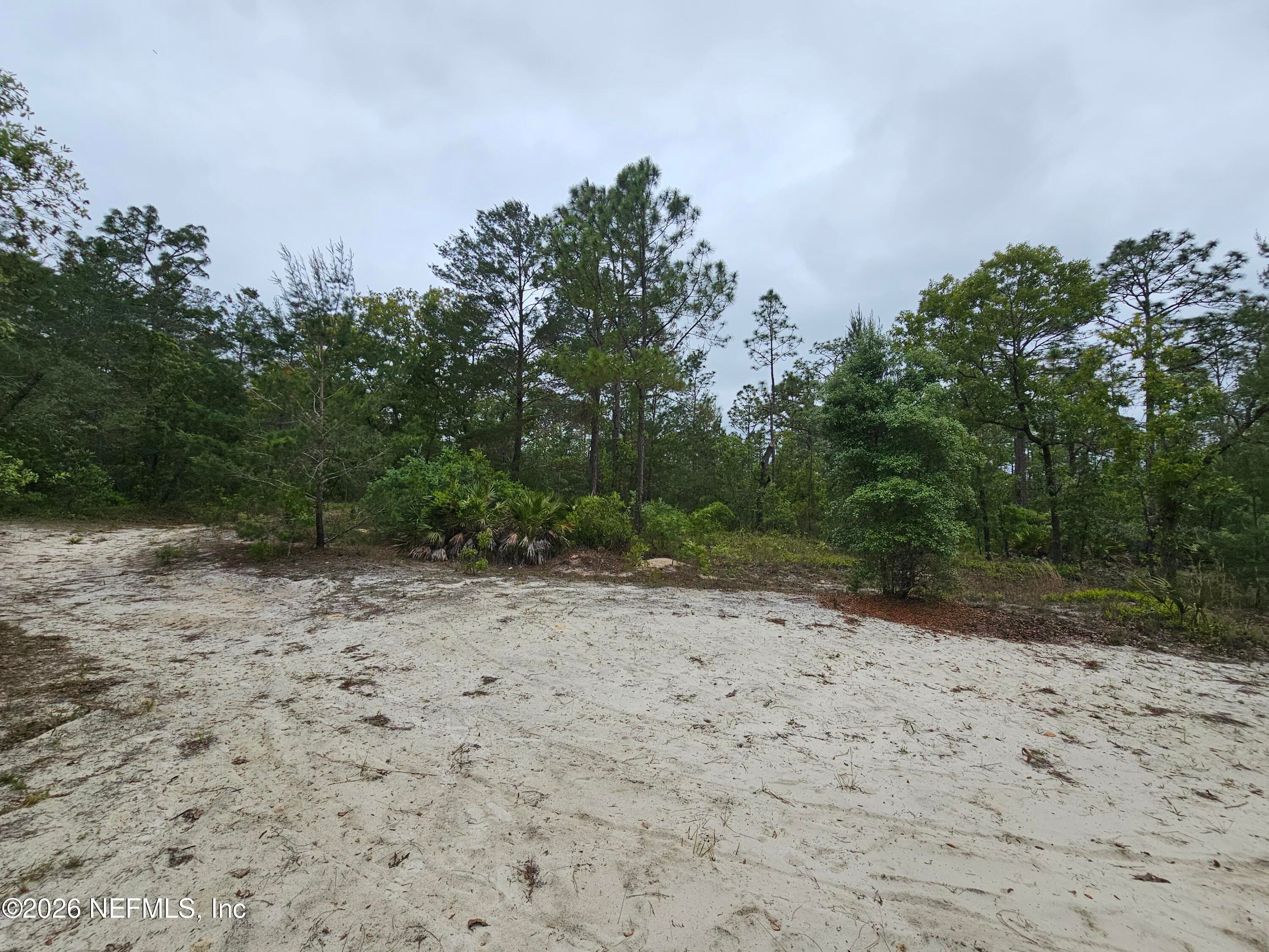 248 SADDLEBACK Trail, Palatka, FL 32177, Palatka — photo 3