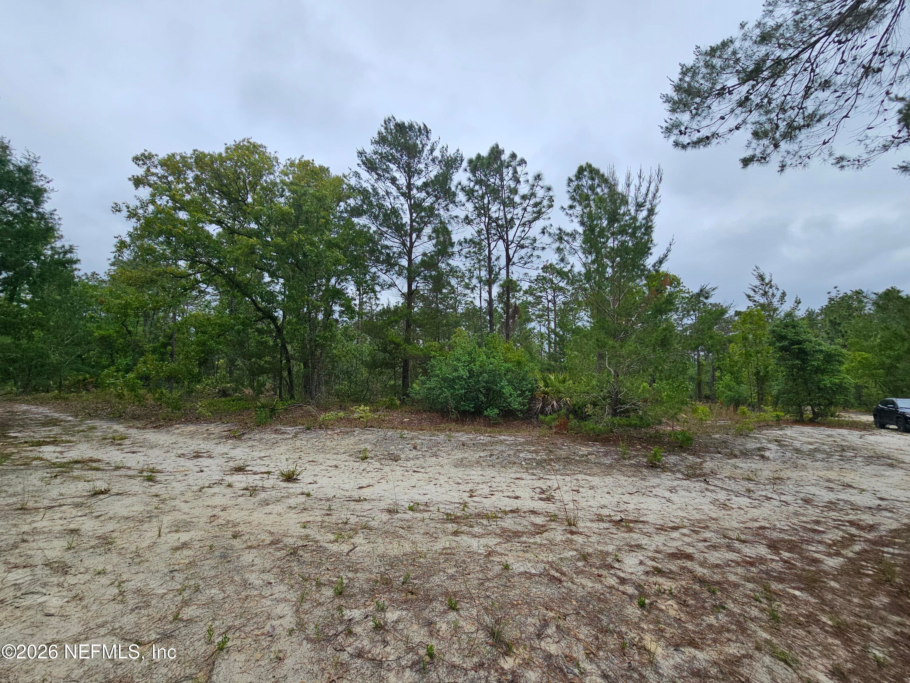 248 SADDLEBACK Trail, Palatka, FL 32177, Palatka — exterior