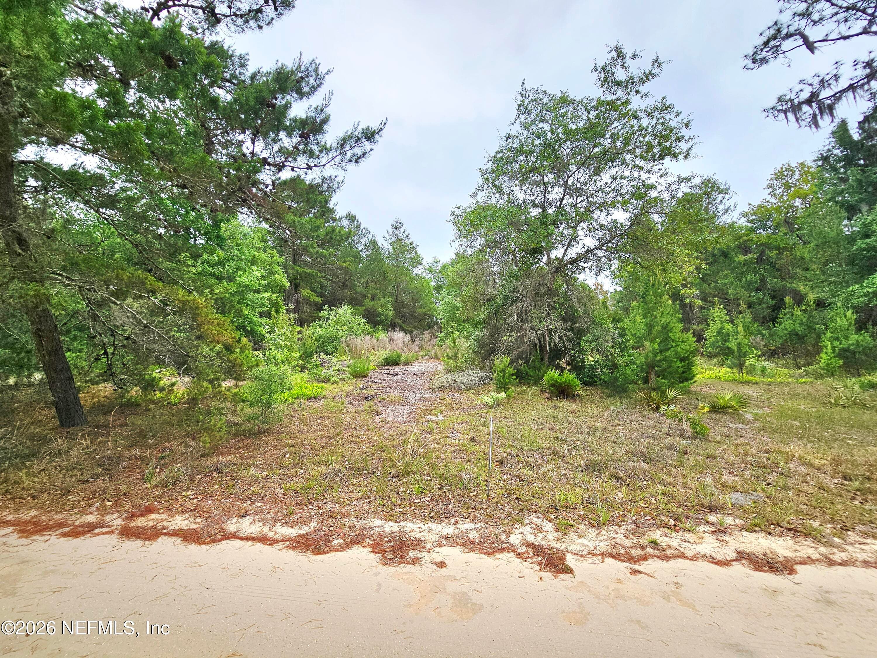 302 RAINBOW Drive, Florahome, FL 32140, Florahome — photo 2