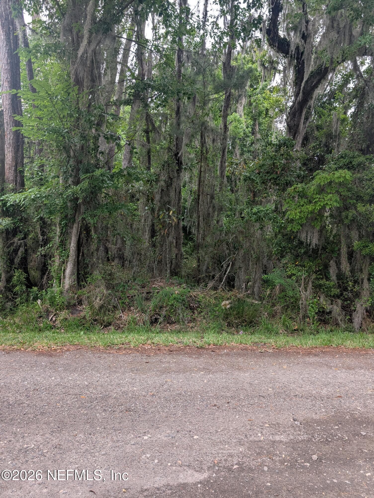 5219 CHICORY Circle, Middleburg, FL 32068, Middleburg — exterior