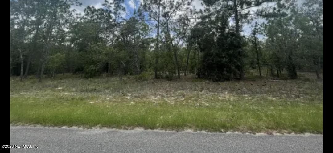 7154 WESLEYAN Road, Keystone Heights, FL 32656, Keystone Heights — photo 2