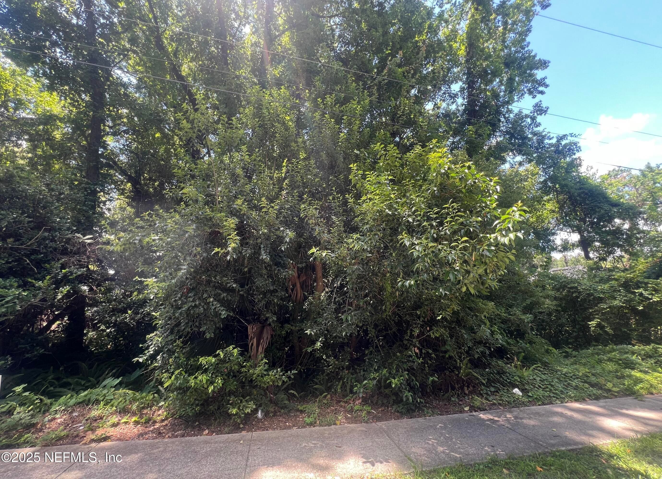 0 CRANE Avenue, Jacksonville, FL 32216, Jacksonville — photo 2