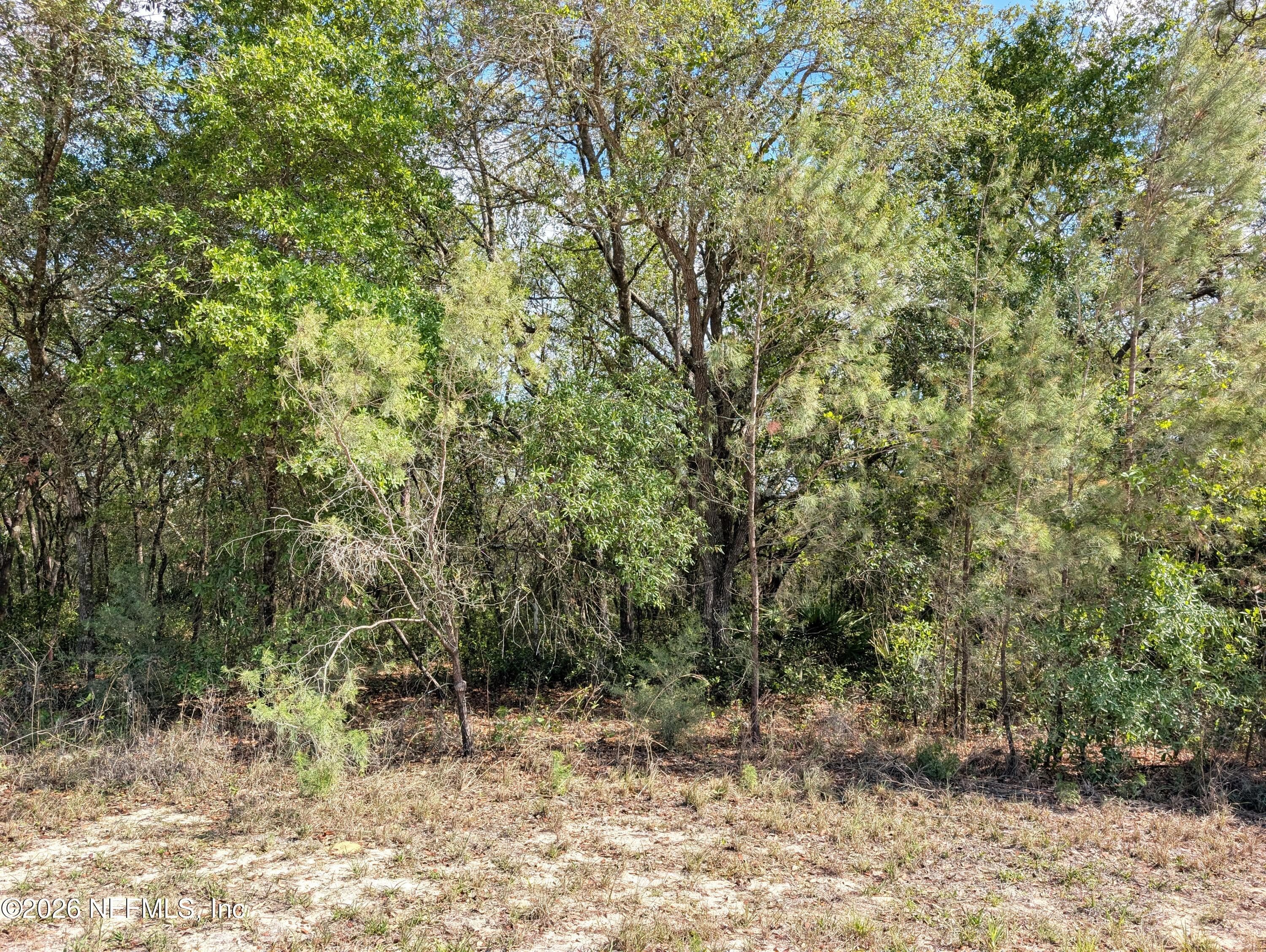 5535 LASSEN Street, Keystone Heights, FL 32656, Keystone Heights — photo 2