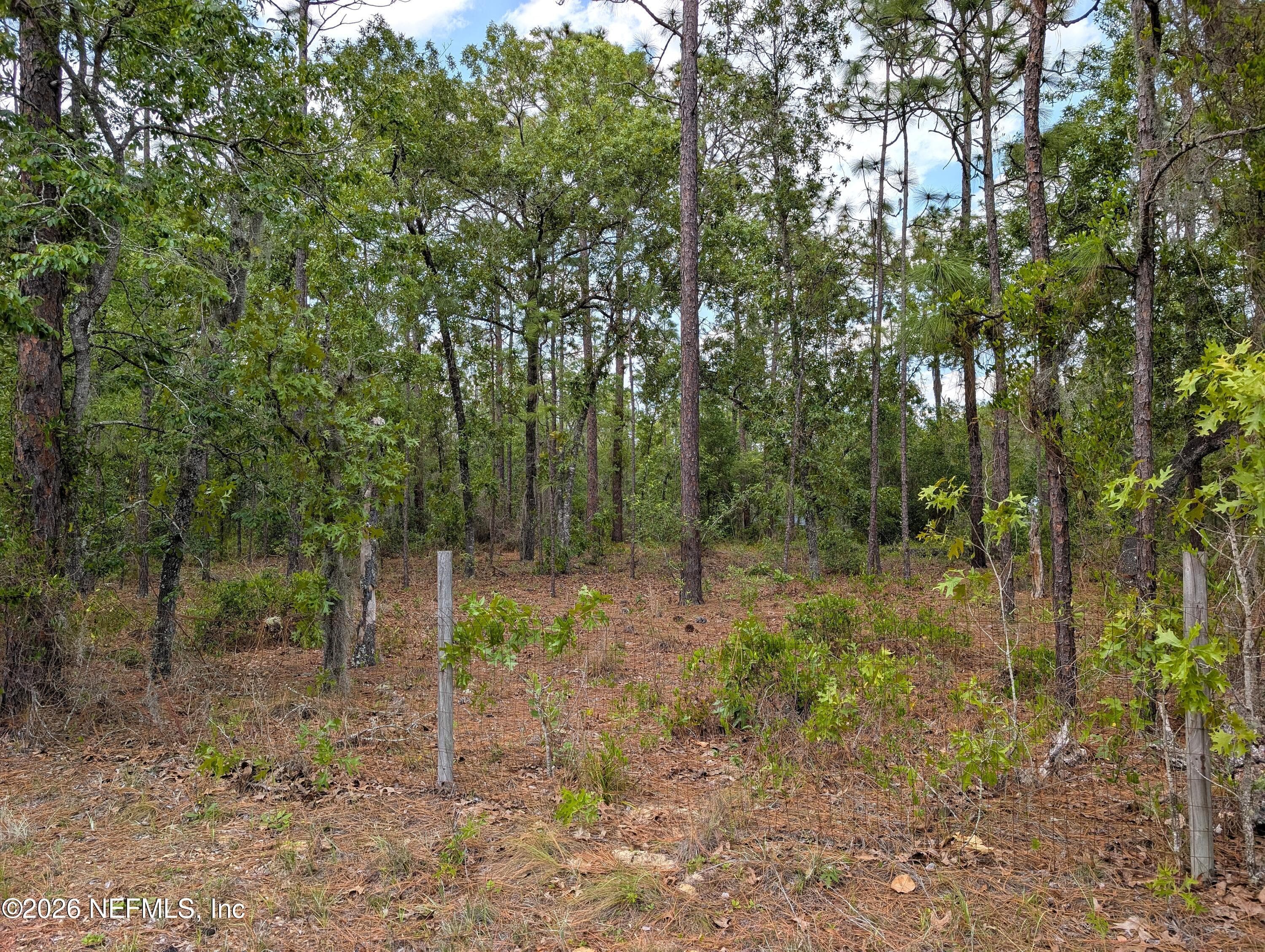 6730 SPANISH MOSS Drive, Keystone Heights — photo 2