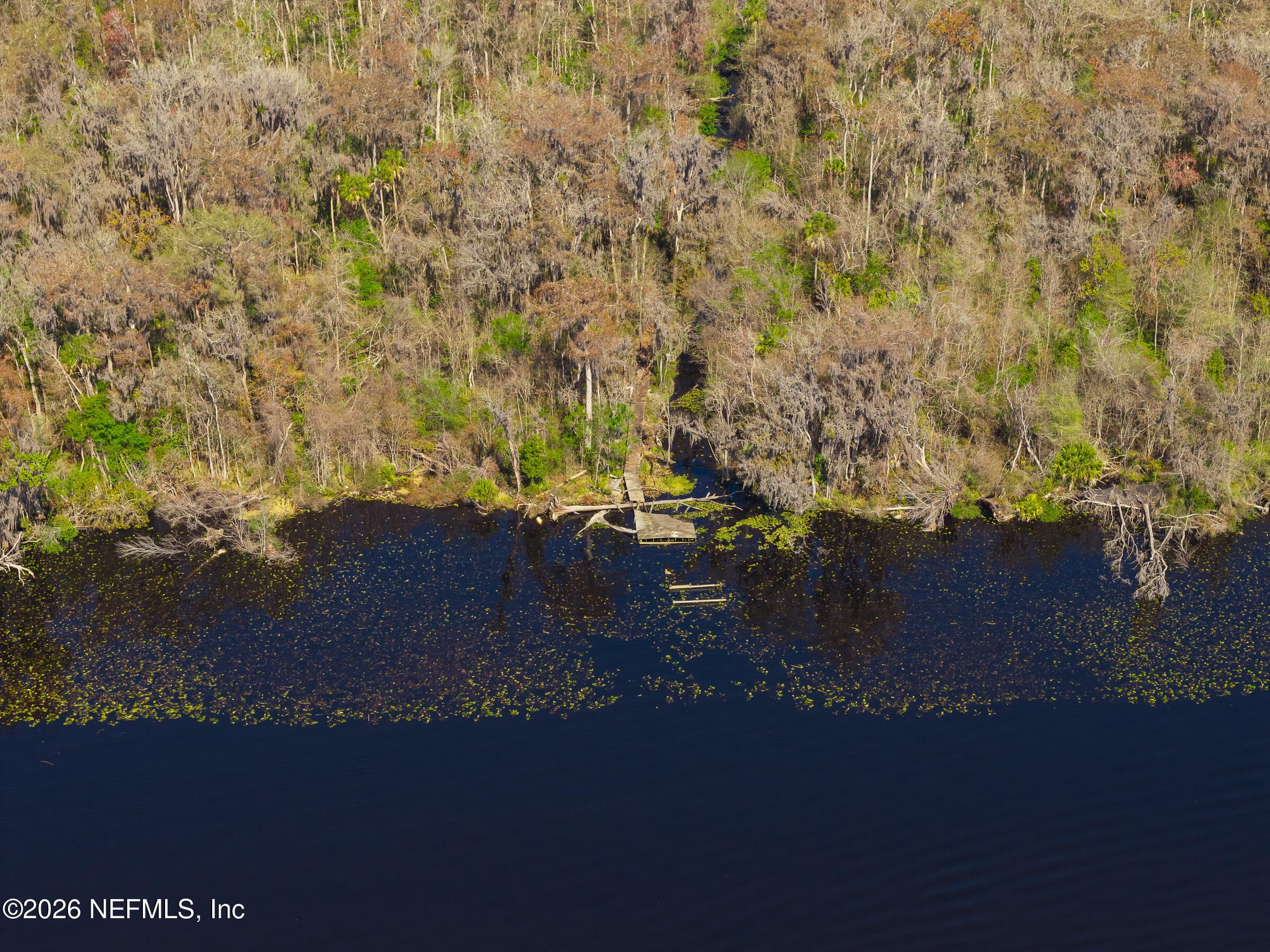 121 PANTHER Trail, Palatka — photo 3