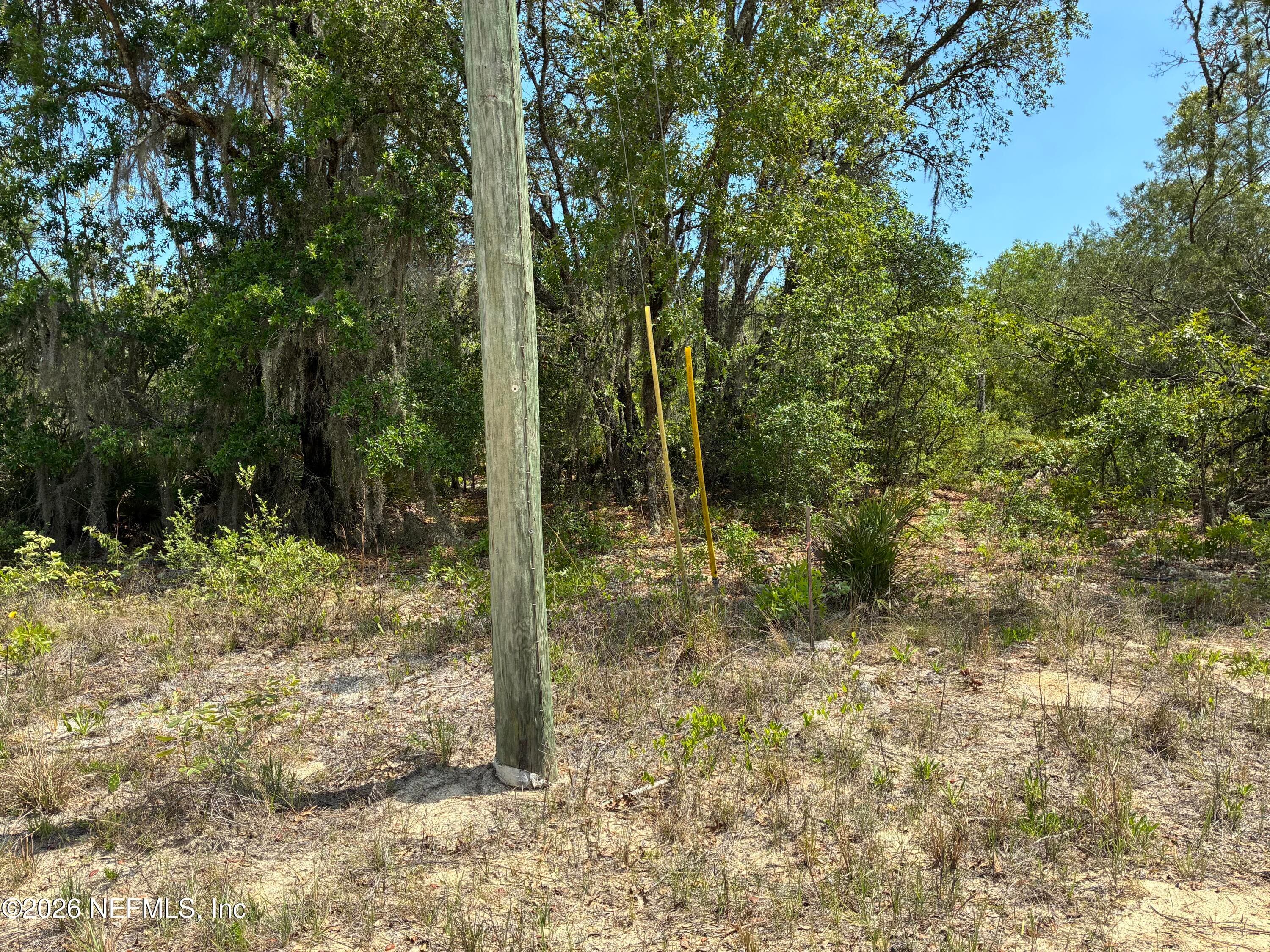 00 DONOVAN Avenue, Interlachen, FL 32148, Interlachen — photo 2