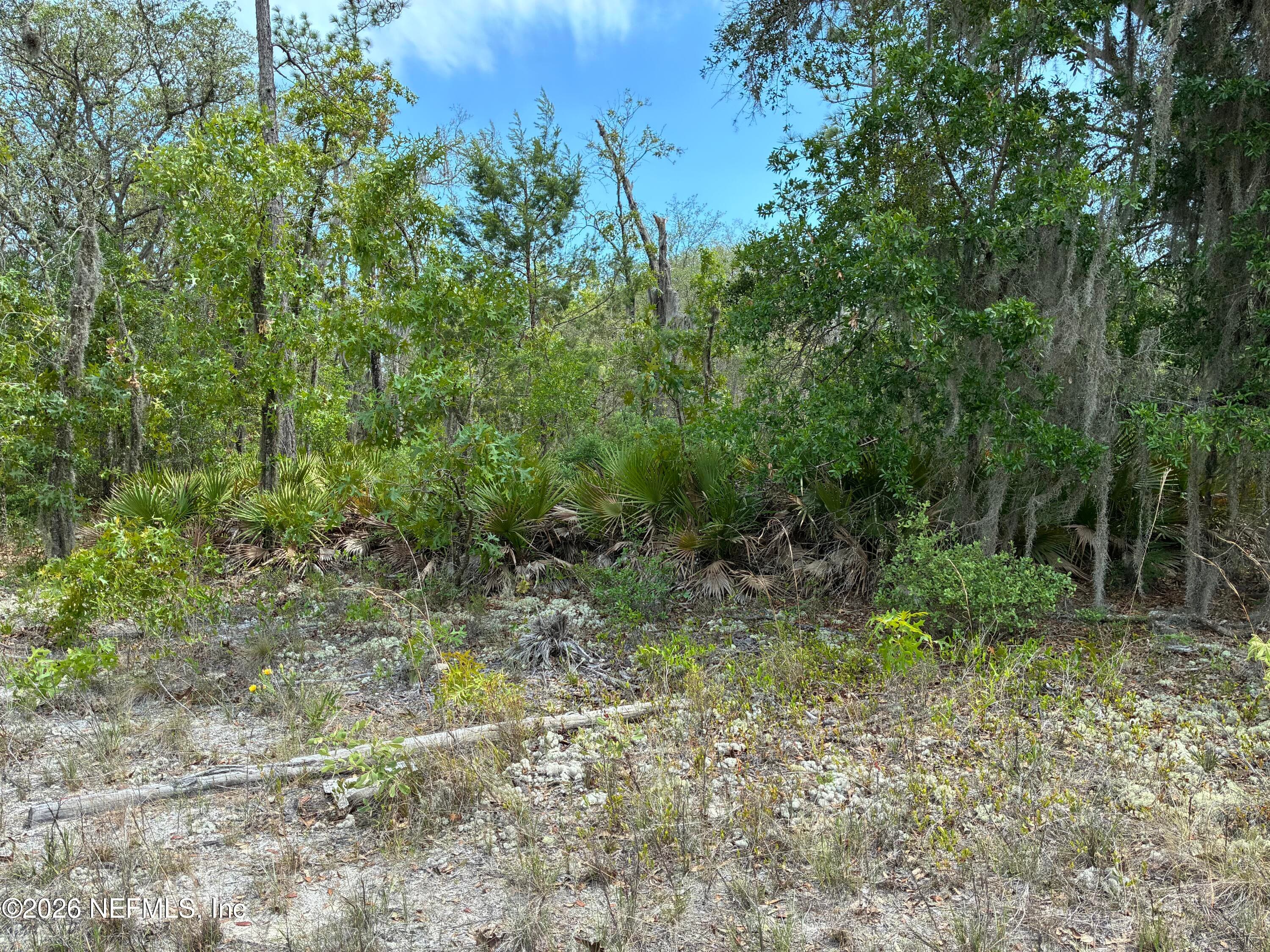 00 DONOVAN Avenue, Interlachen, FL 32148, Interlachen — photo 3