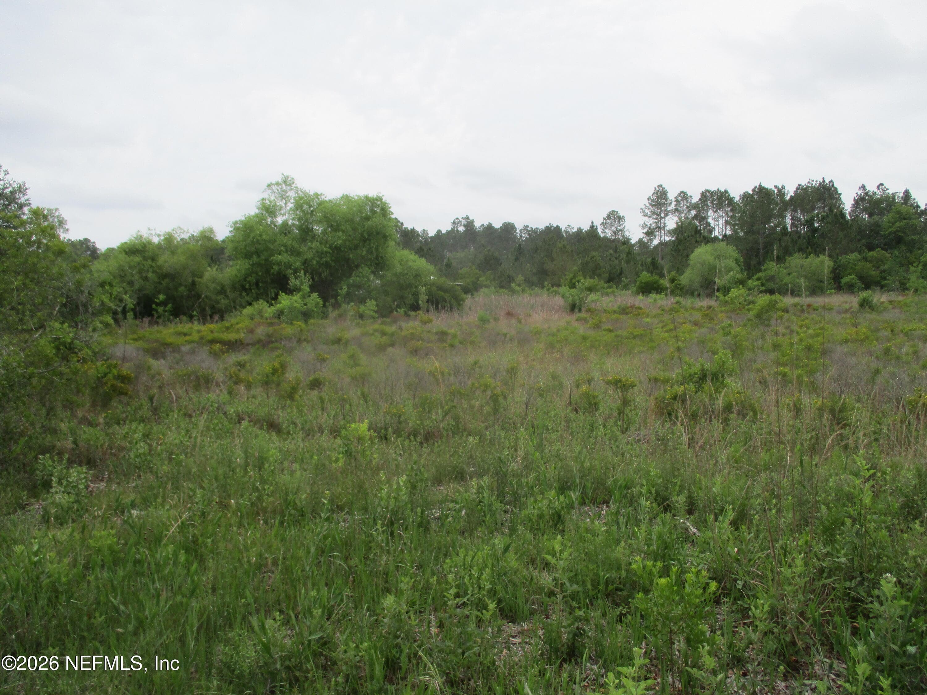 0 QUAIL Road, Callahan, FL 32011, Callahan — photo 2