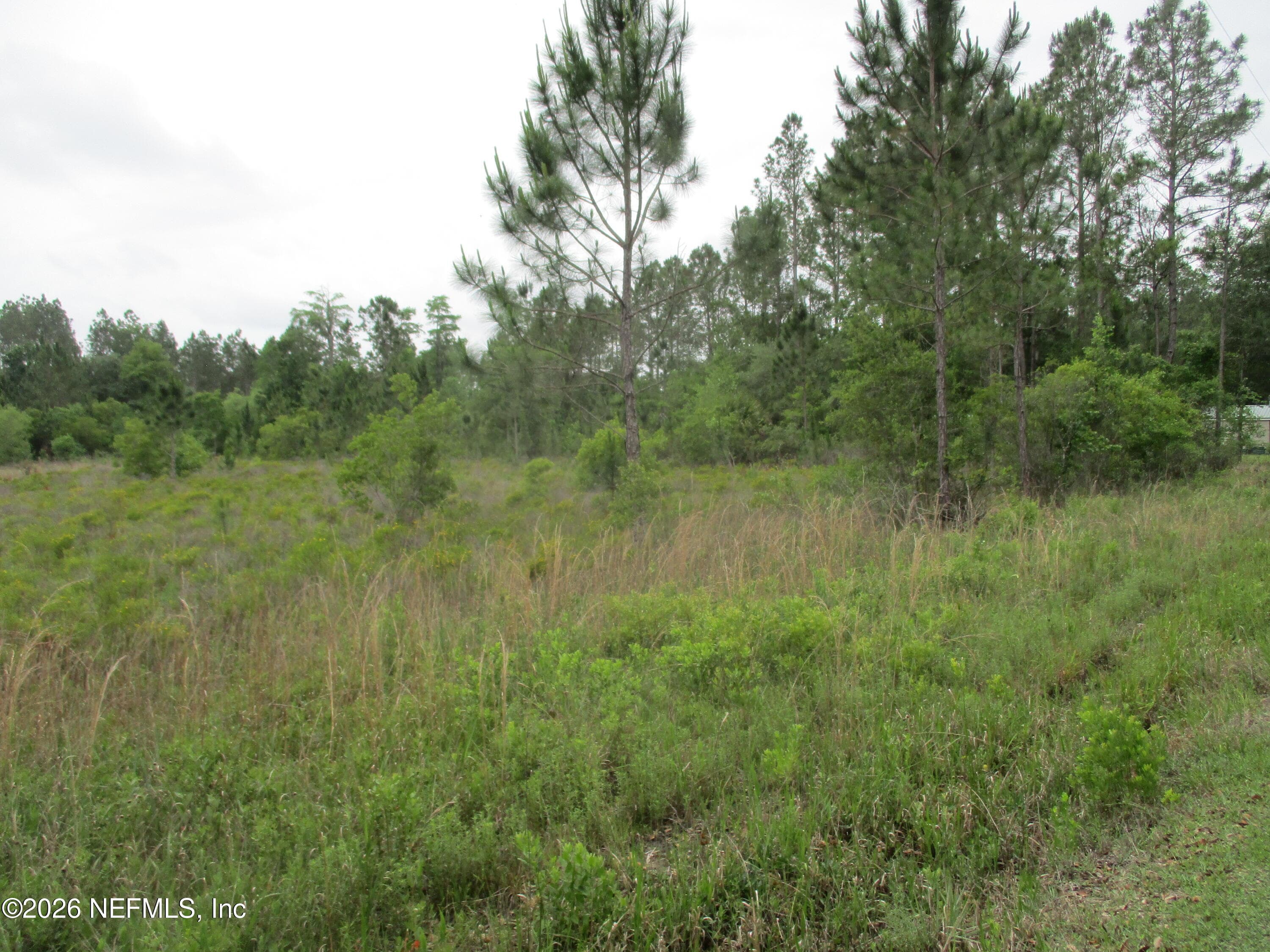 0 QUAIL Road, Callahan, FL 32011, Callahan — photo 3