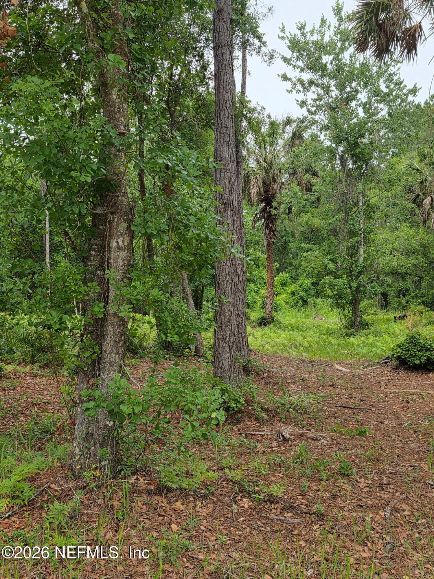 109 ANNE Boulevard, Georgetown, FL 32139, Georgetown — photo 2